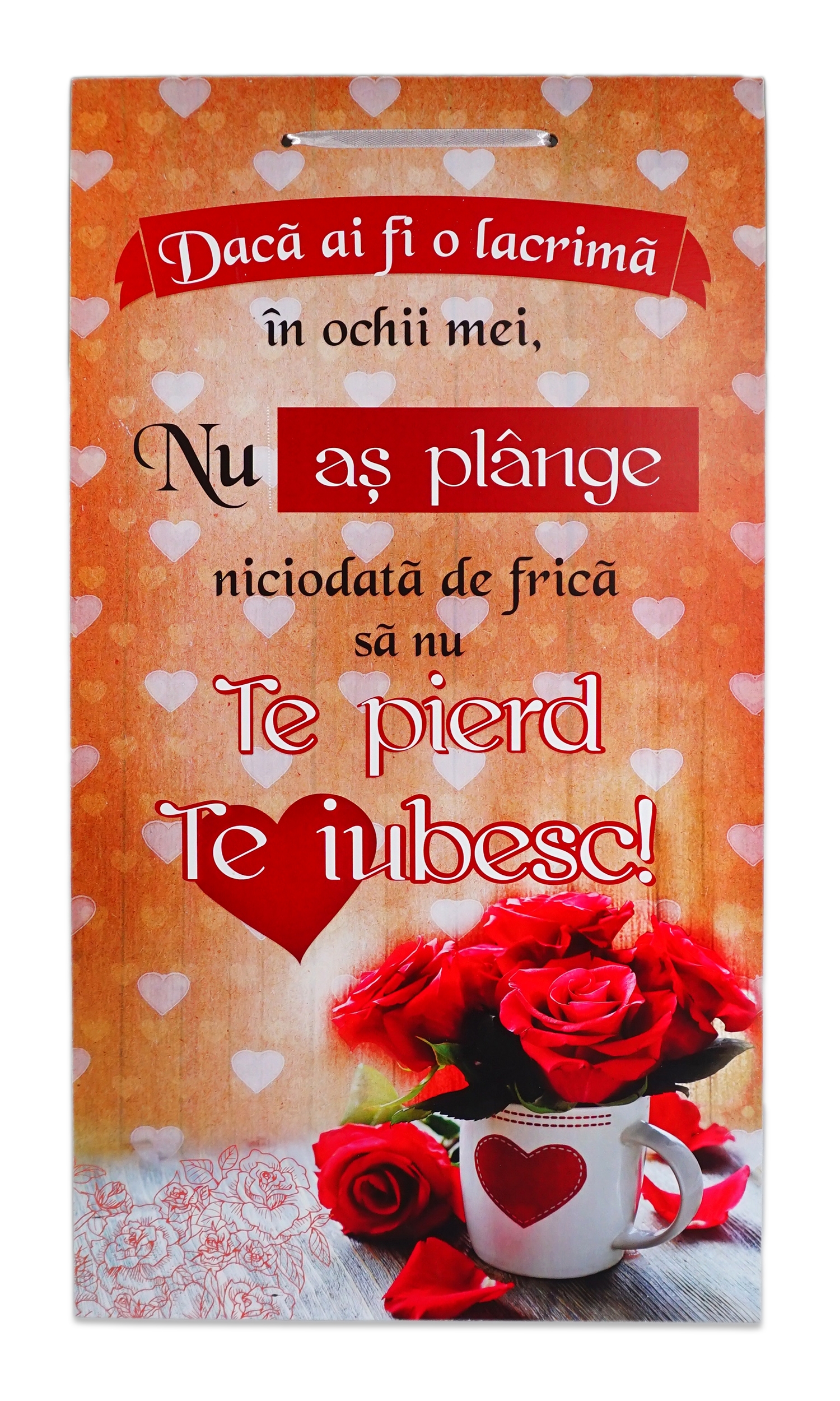 Tablou motivational ( 26x48 cm ) -Nu as plange Tablou motivational ( 26x48 cm ) -Nu as plange