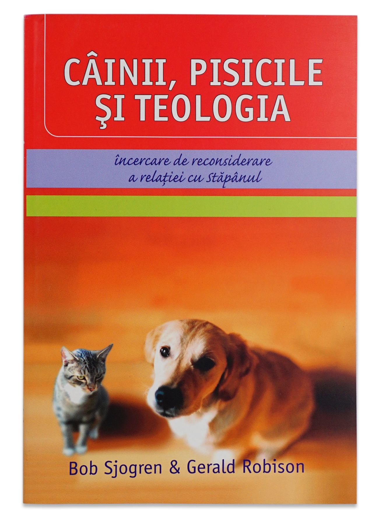 Câinii, pisicile si teologia