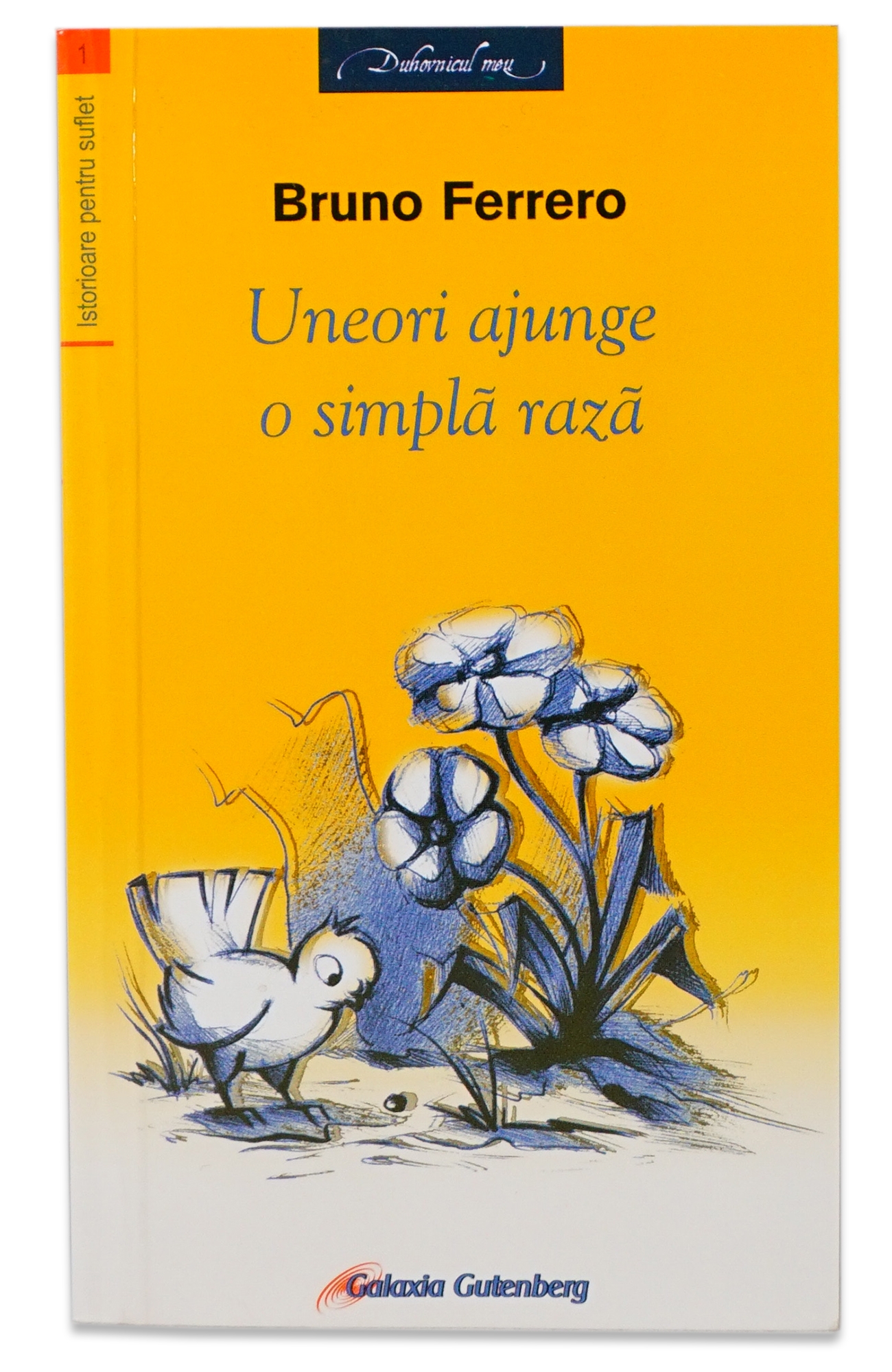 Uneori ajunge o simplă rază - povestiri pentru copii