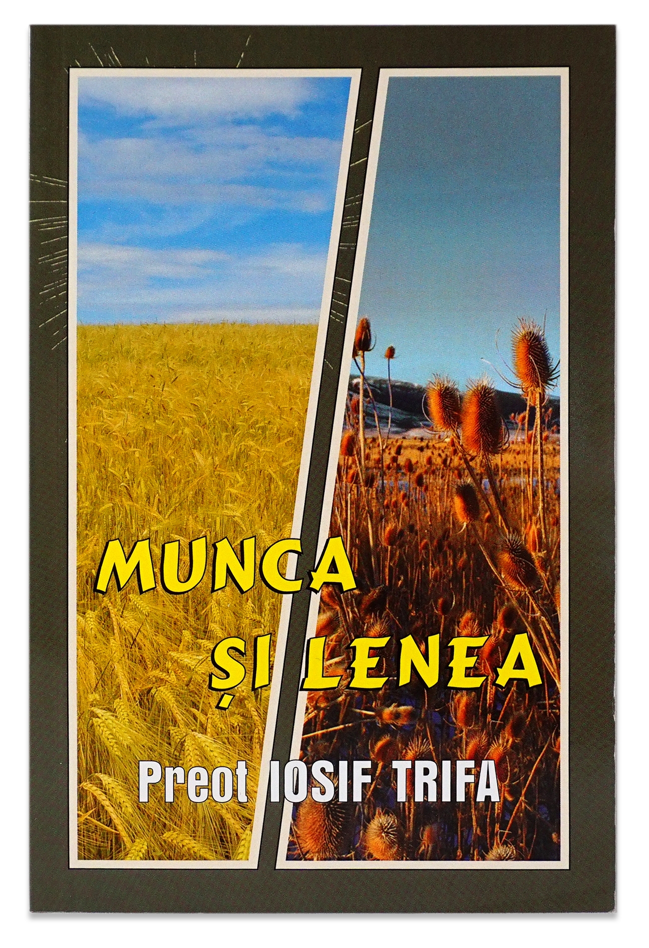 Munca si lenea - Viata crestina practicata