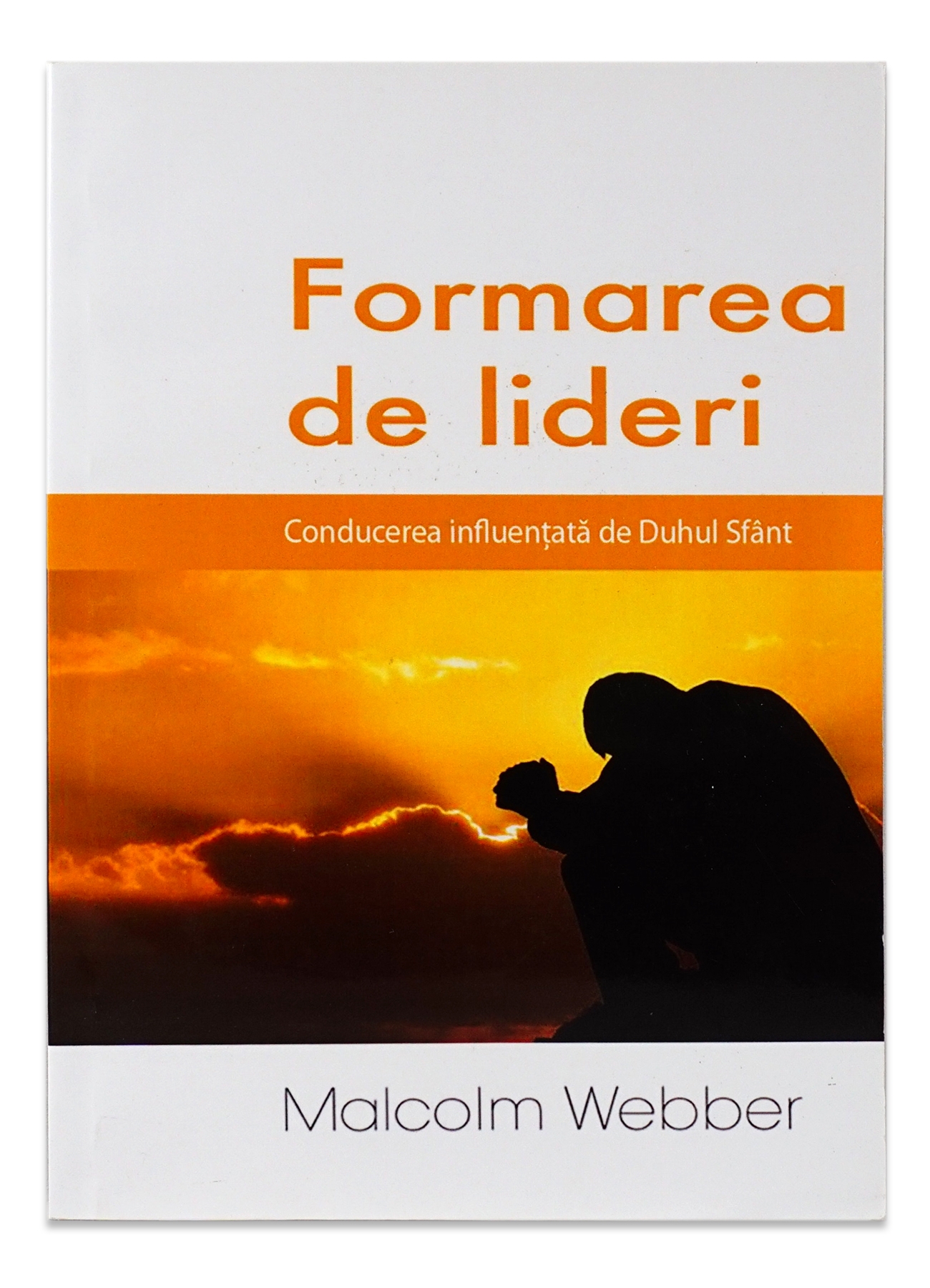 Formarea de lideri Formarea de lideri