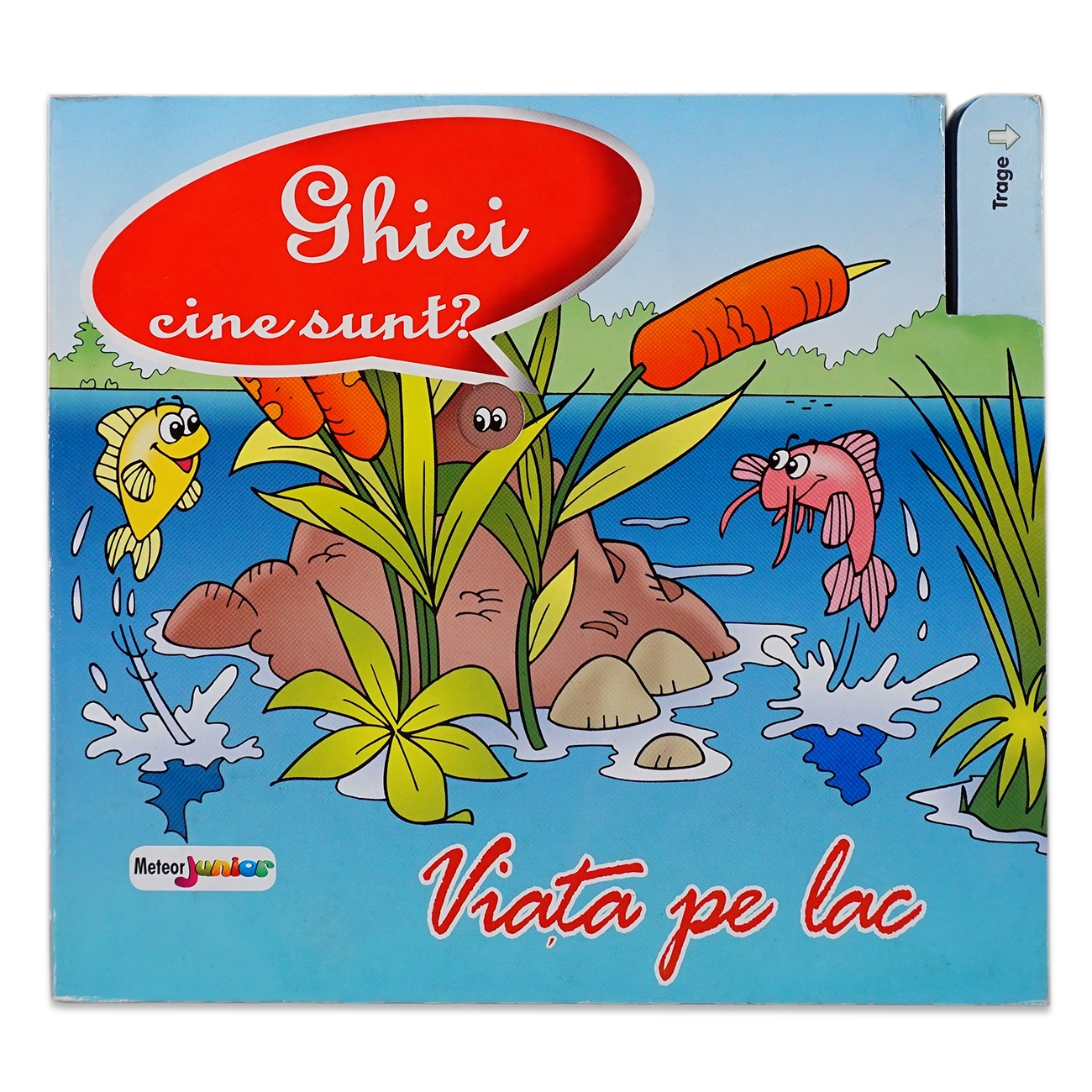 Ghici cine sunt? Viata pe lac Ghici cine sunt? Viata pe lac