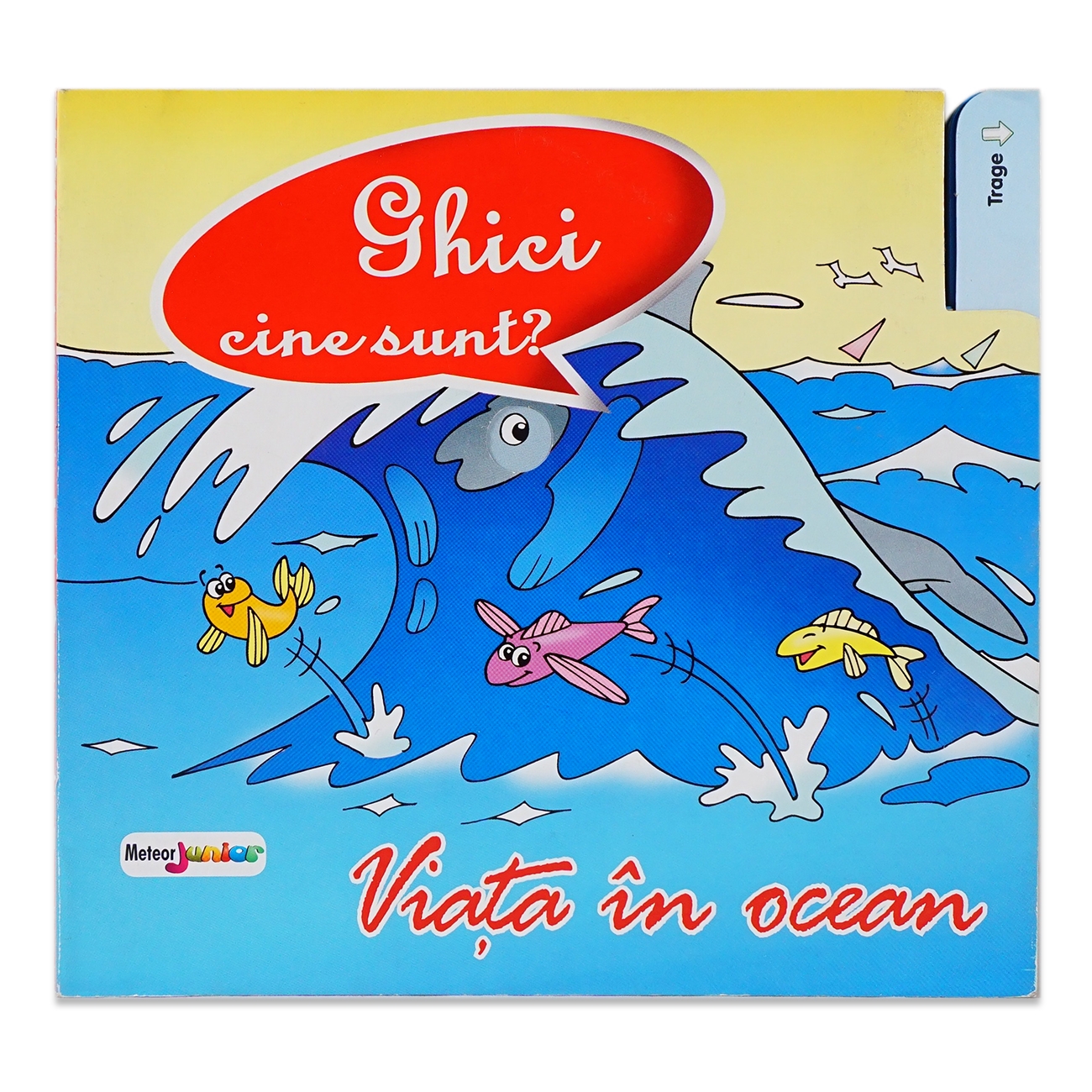 Ghici cine sunt? Viata in ocean Ghici cine sunt? Viata in ocean