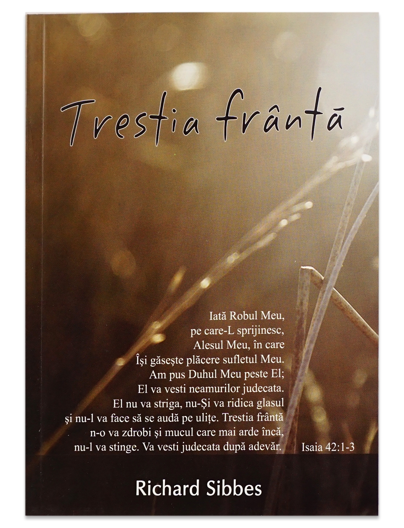 Trestia franta Trestia franta