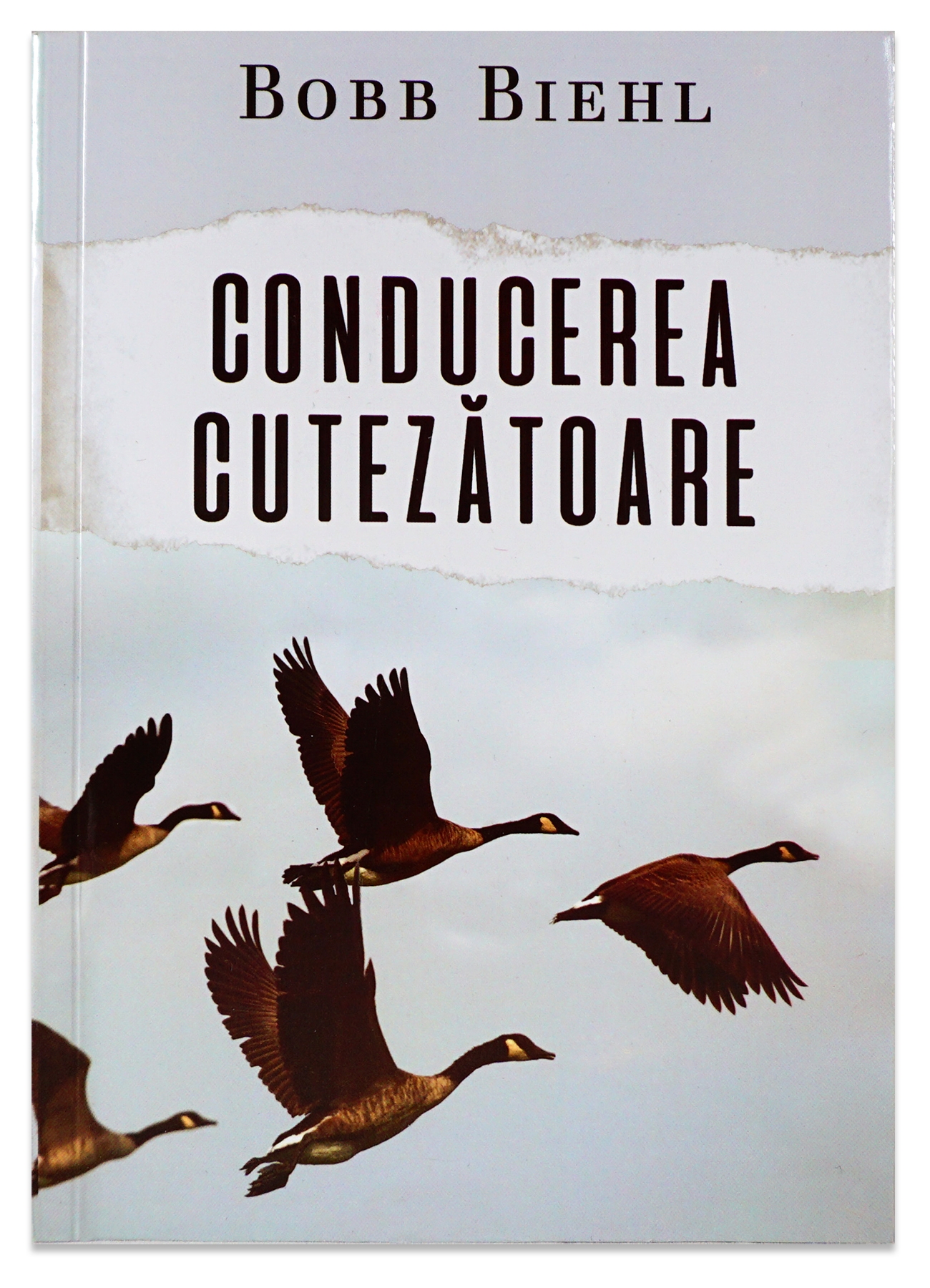 Conducerea cutezatoare - Dezvoltare spirituală