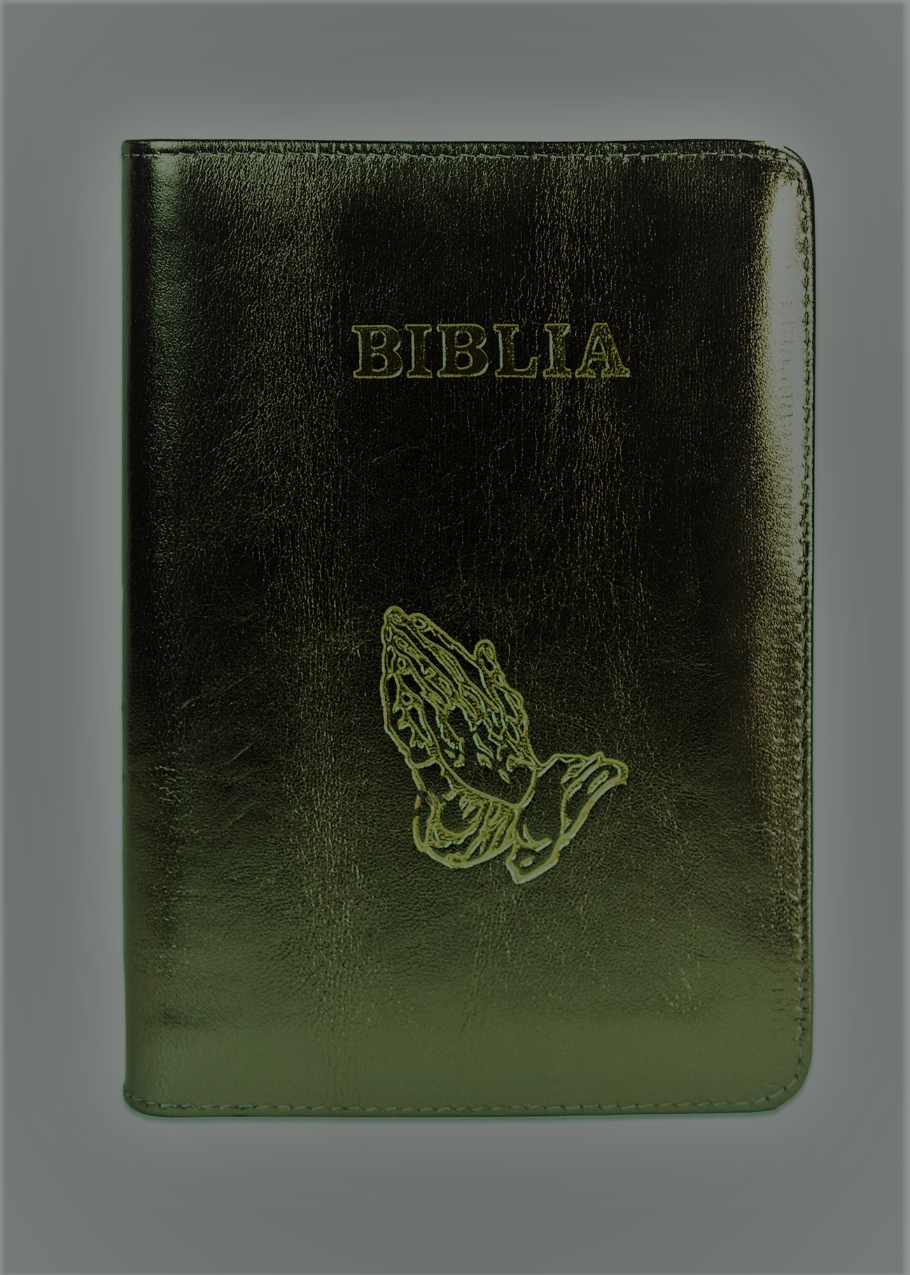 Biblie din piele, marime medie, culoare, verde kaki închis sidefat, simbol maini in rugaciune, fermoar, index, margini aurii, cuv. lui Isus cu rosu [SB 057 PFI]