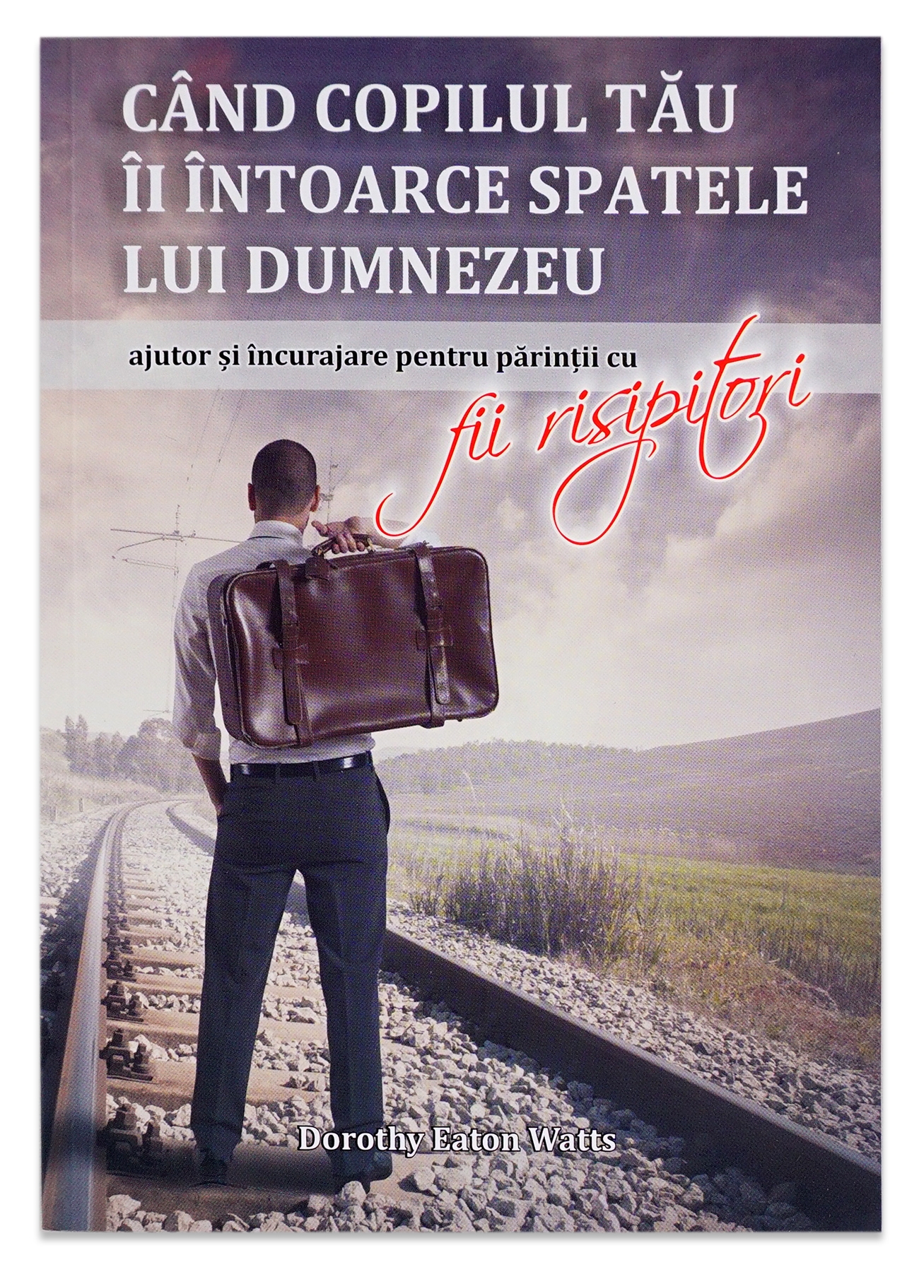 Când copilul tău Îi întoarce spatele lui Dumnezeu - Ajutor si incurajare pentru parintii cu fii risipitori