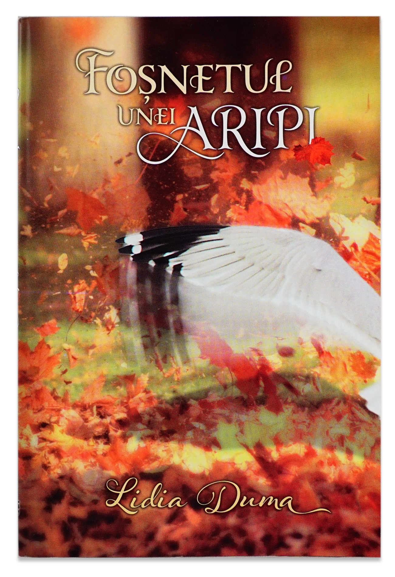 Fosnetul unei aripi - Poezii Crestine