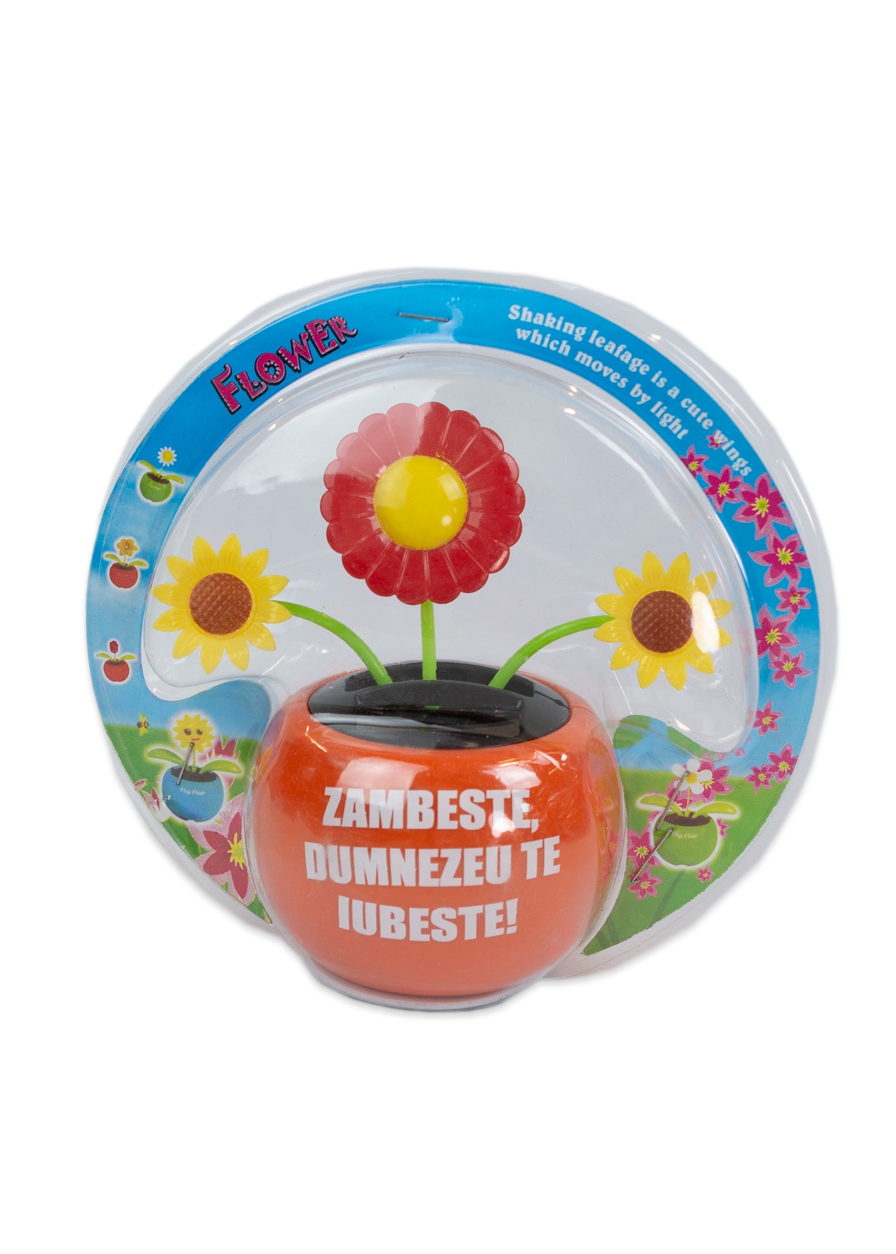 Floare solara - Zambeste :) Dumnezeu te iubeste! (portocaliu)