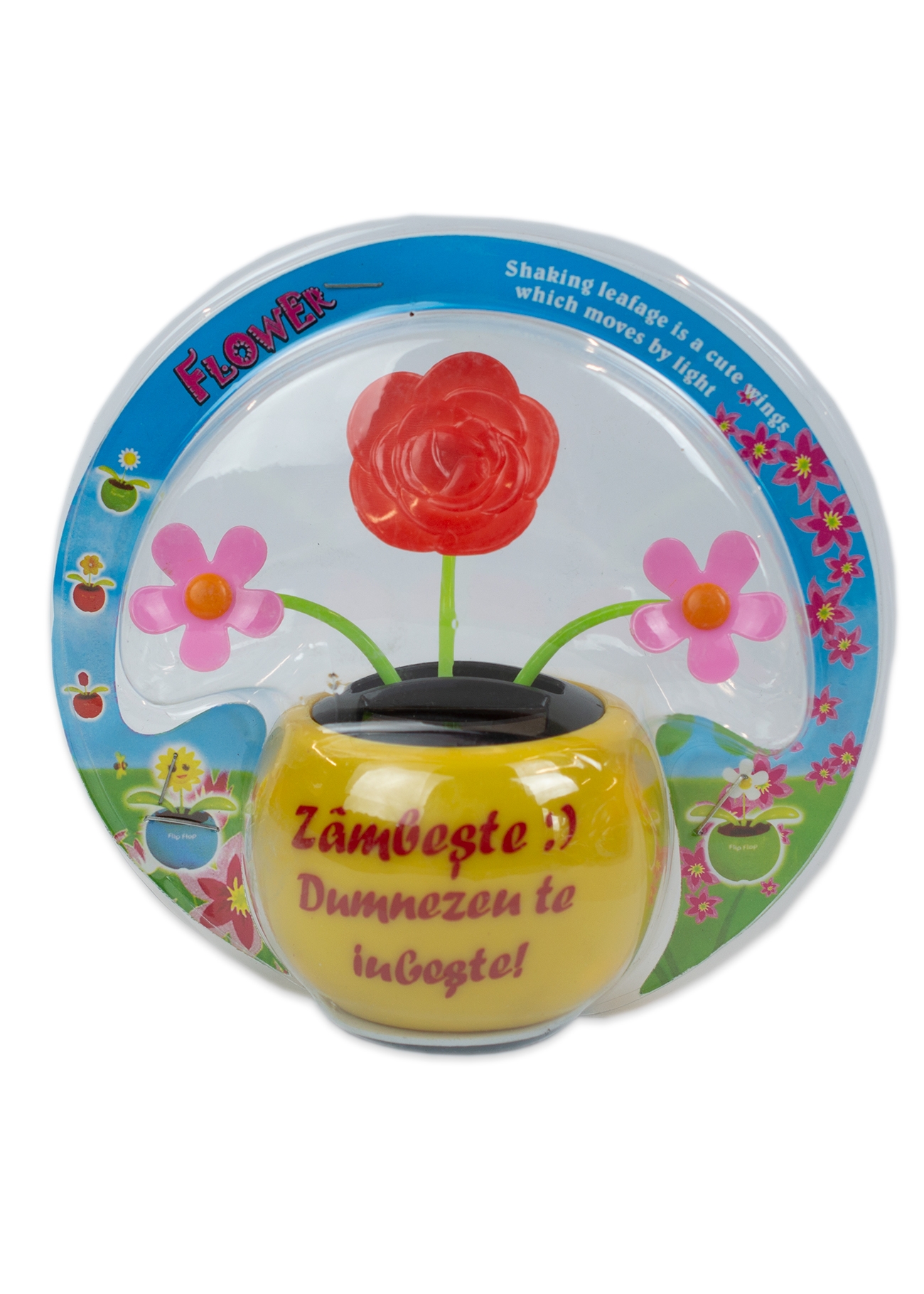 Floare solara - Zambeste :) Dumnezeu te iubeste! (galben) Floare solara - Zambeste :) Dumnezeu te iubeste! (galben)