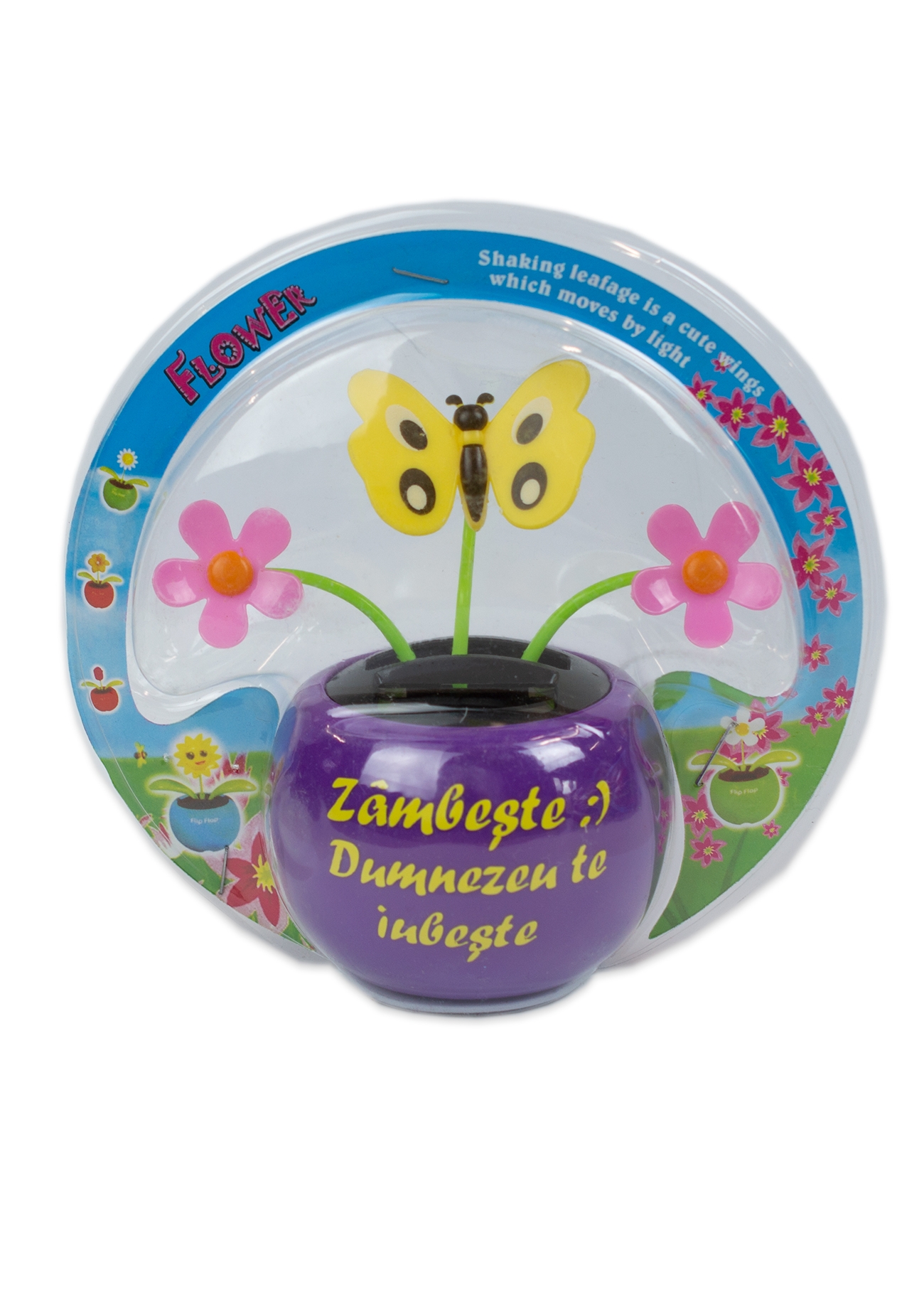 Floare solara - Zambeste :) Dumnezeu te iubeste! (mov) Floare solara - Zambeste :) Dumnezeu te iubeste! (mov)