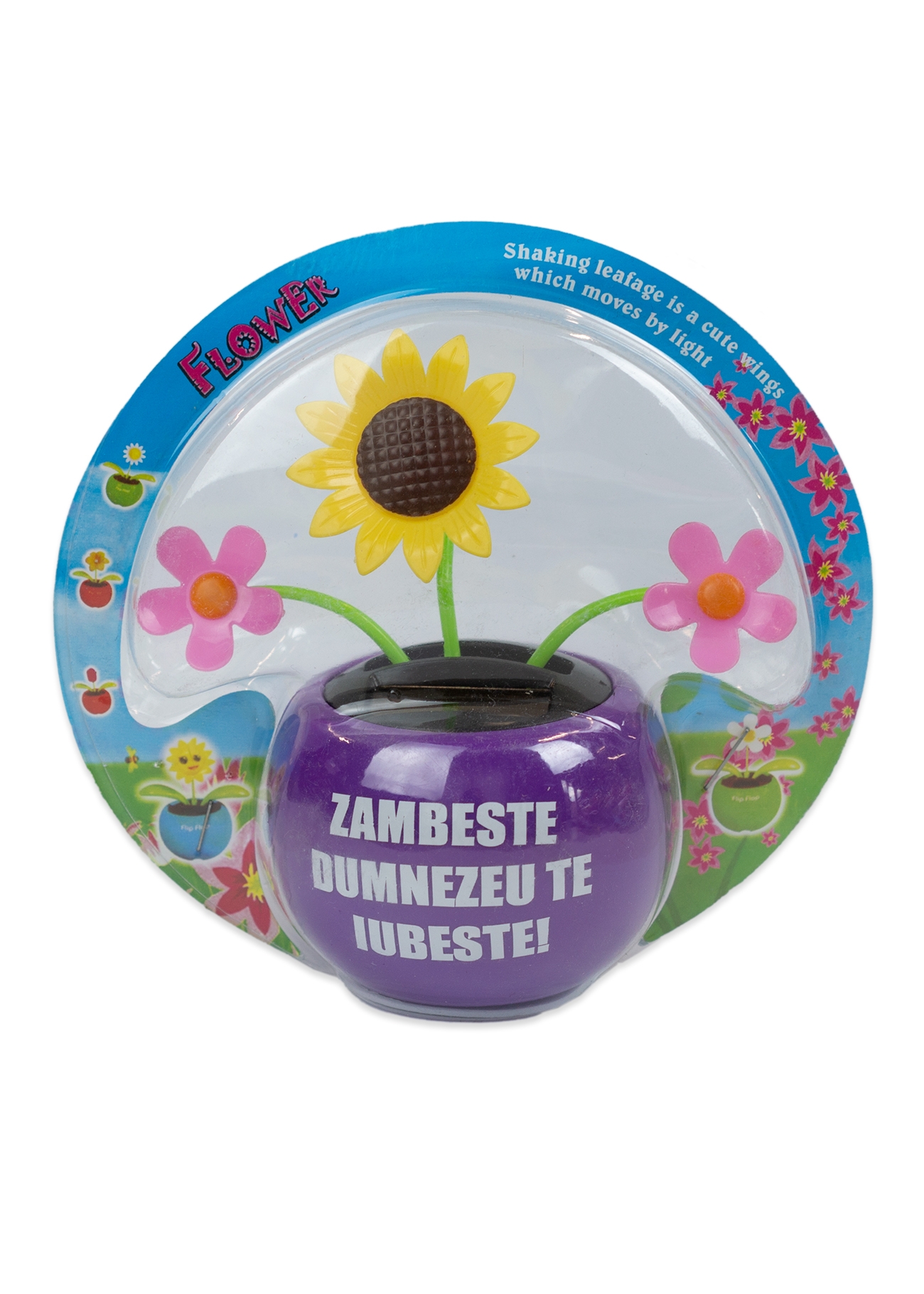 Floare solara - Zambeste :) Dumnezeu te iubeste! (mov) Floare solara - Zambeste :) Dumnezeu te iubeste! (mov)