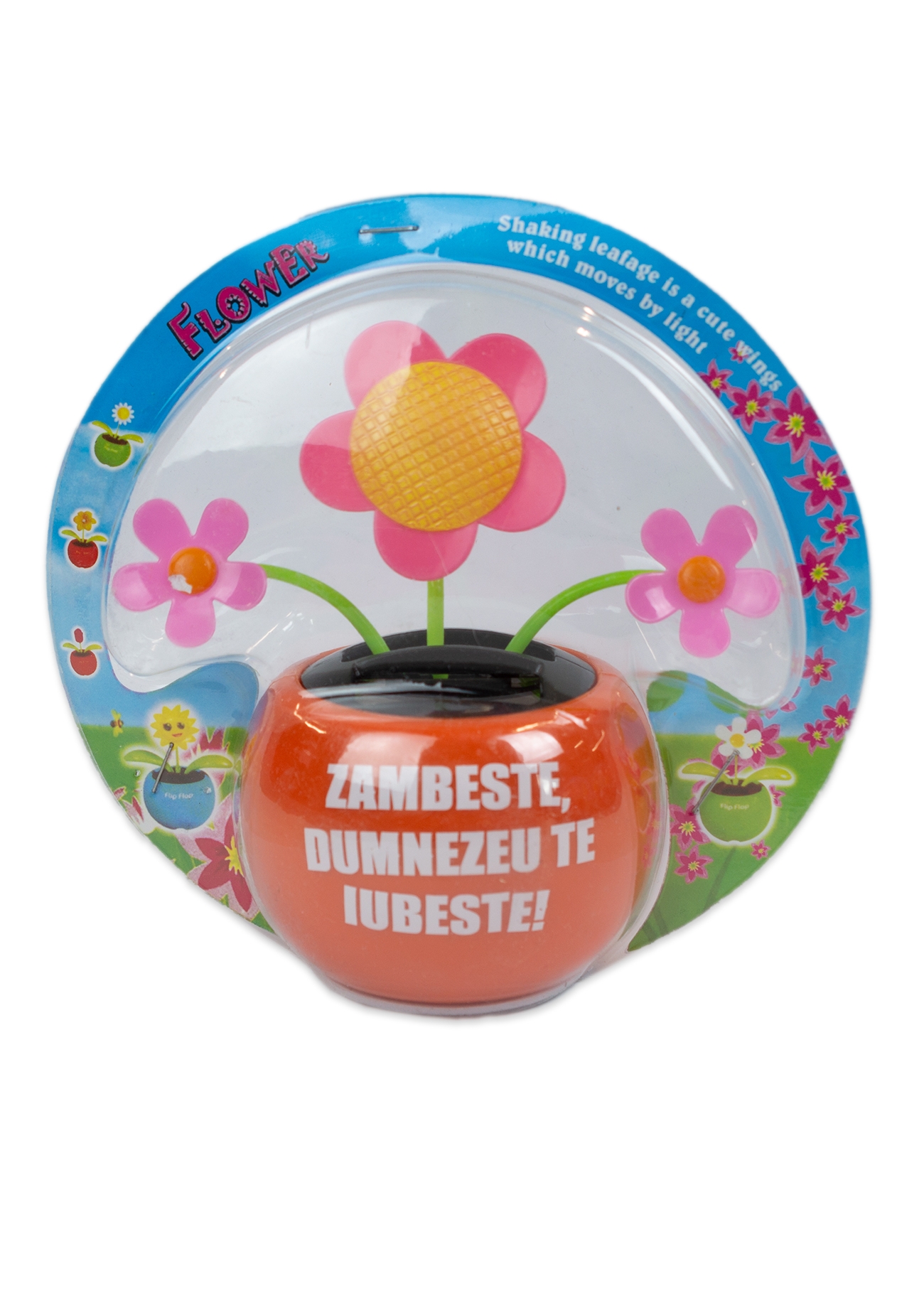 Floare solara - Zambeste :) Dumnezeu te iubeste! (portocaliu) Floare solara - Zambeste :) Dumnezeu te iubeste! (portocaliu)