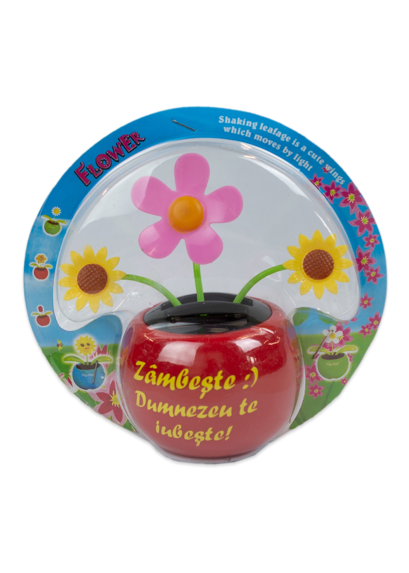 Floare solara - Zambeste :) Dumnezeu te iubeste! (rosu) Floare solara - Zambeste :) Dumnezeu te iubeste! (rosu)