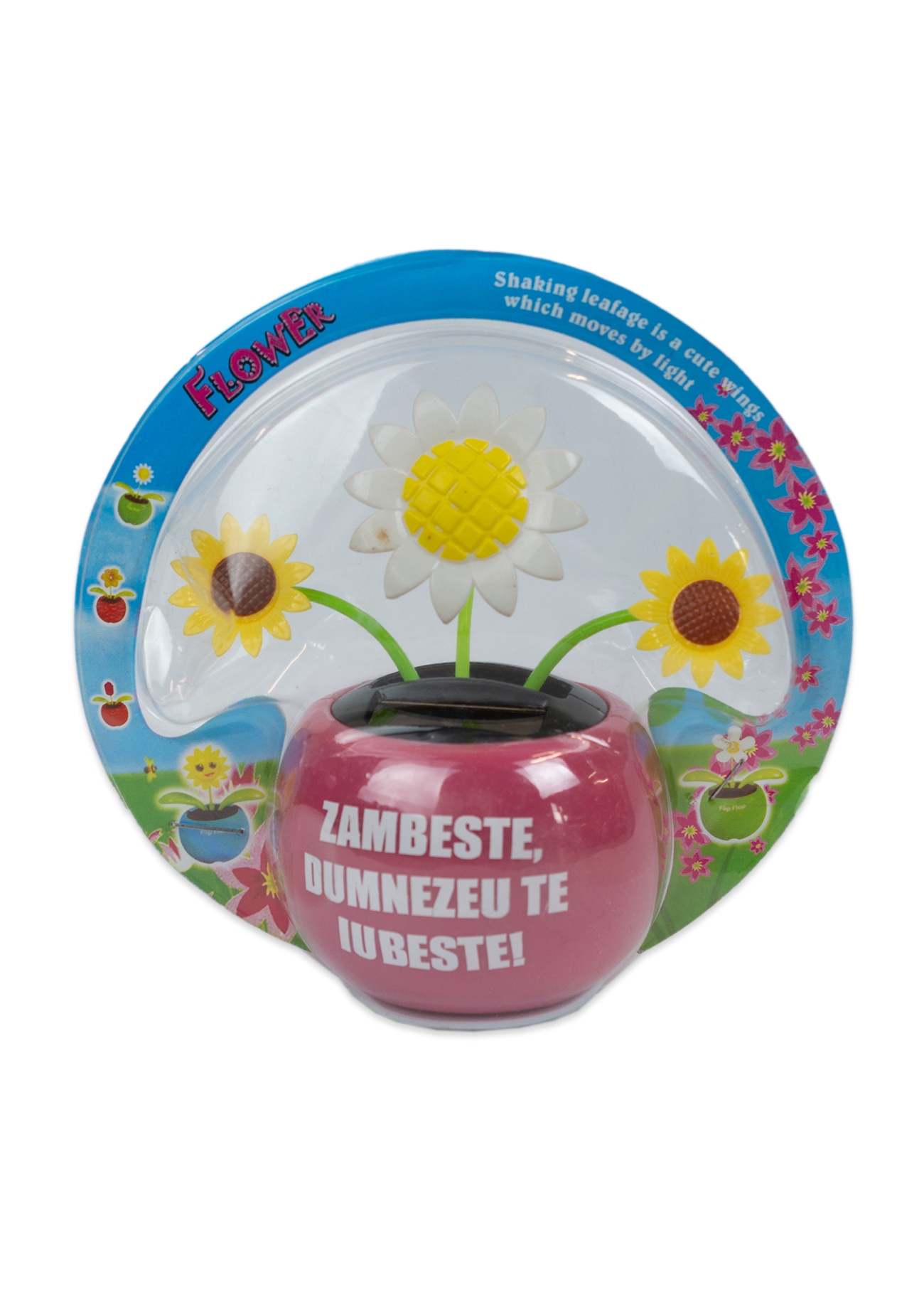 Floare solara - Zambeste :) Dumnezeu te iubeste! (roz)