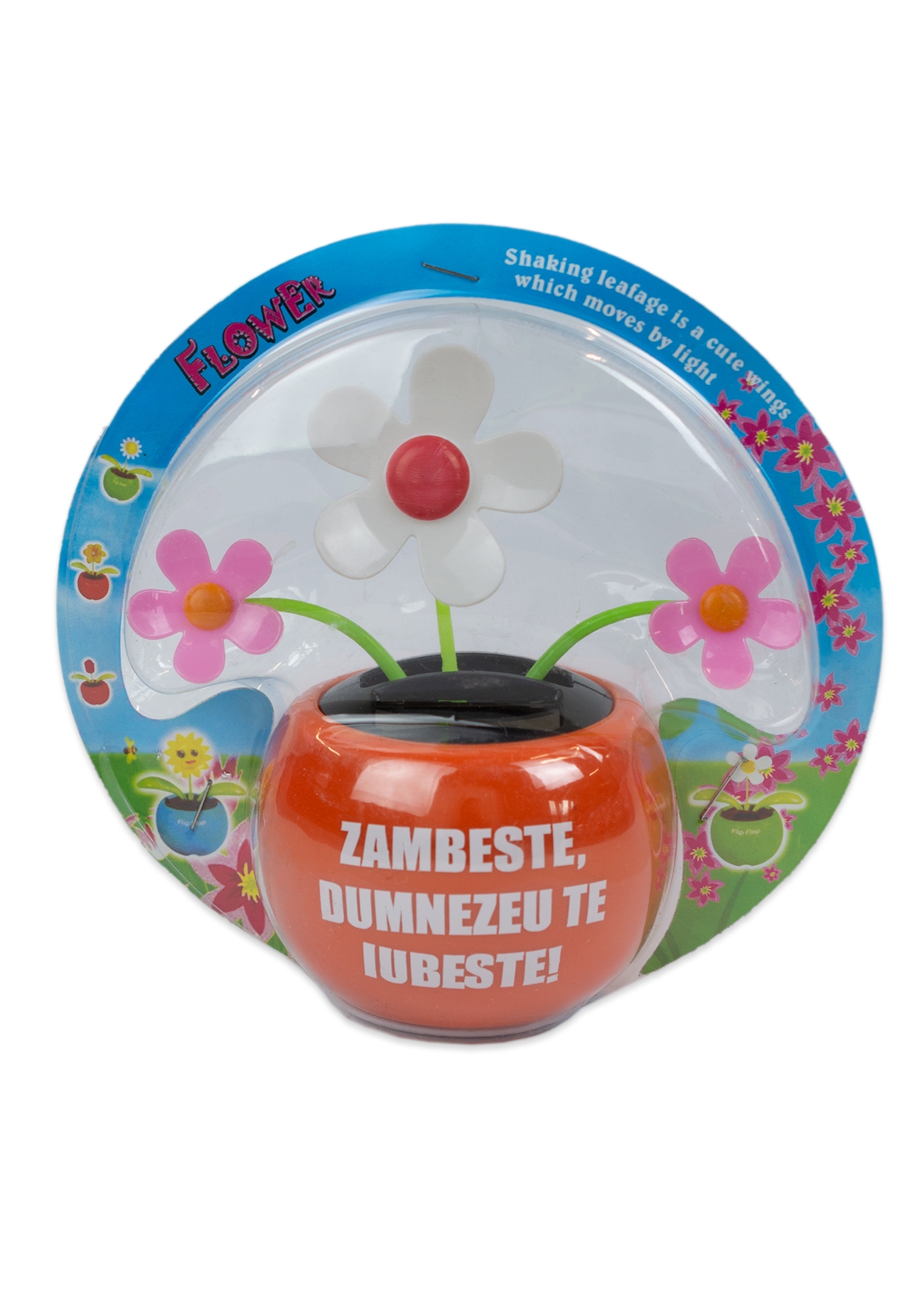 Floare solara - Zambeste :) Dumnezeu te iubeste! (portocaliu) Floare solara - Zambeste :) Dumnezeu te iubeste! (portocaliu)