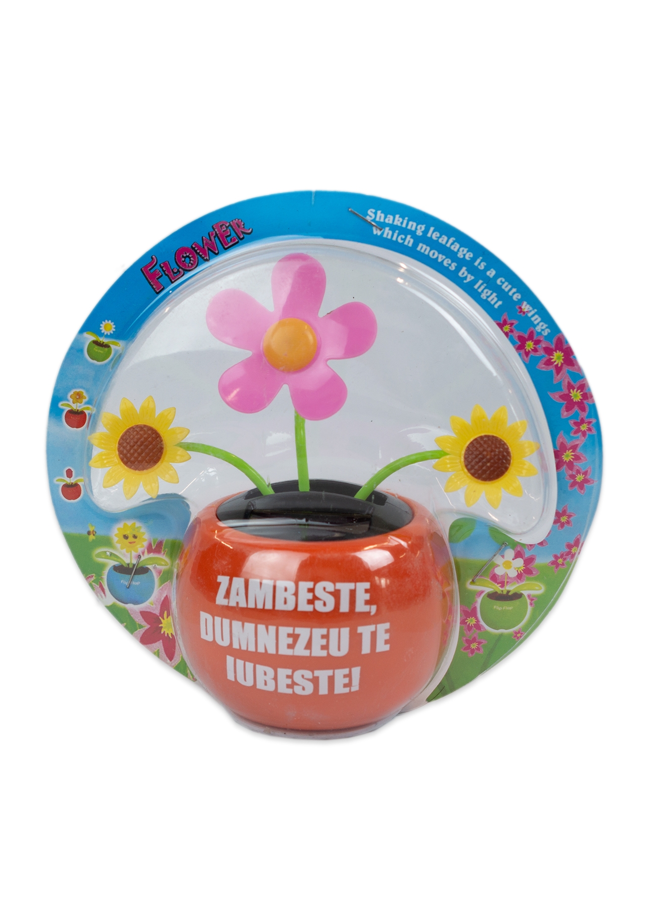 Floare solara - Zambeste :) Dumnezeu te iubeste! (portocaliu) Floare solara - Zambeste :) Dumnezeu te iubeste! (portocaliu)