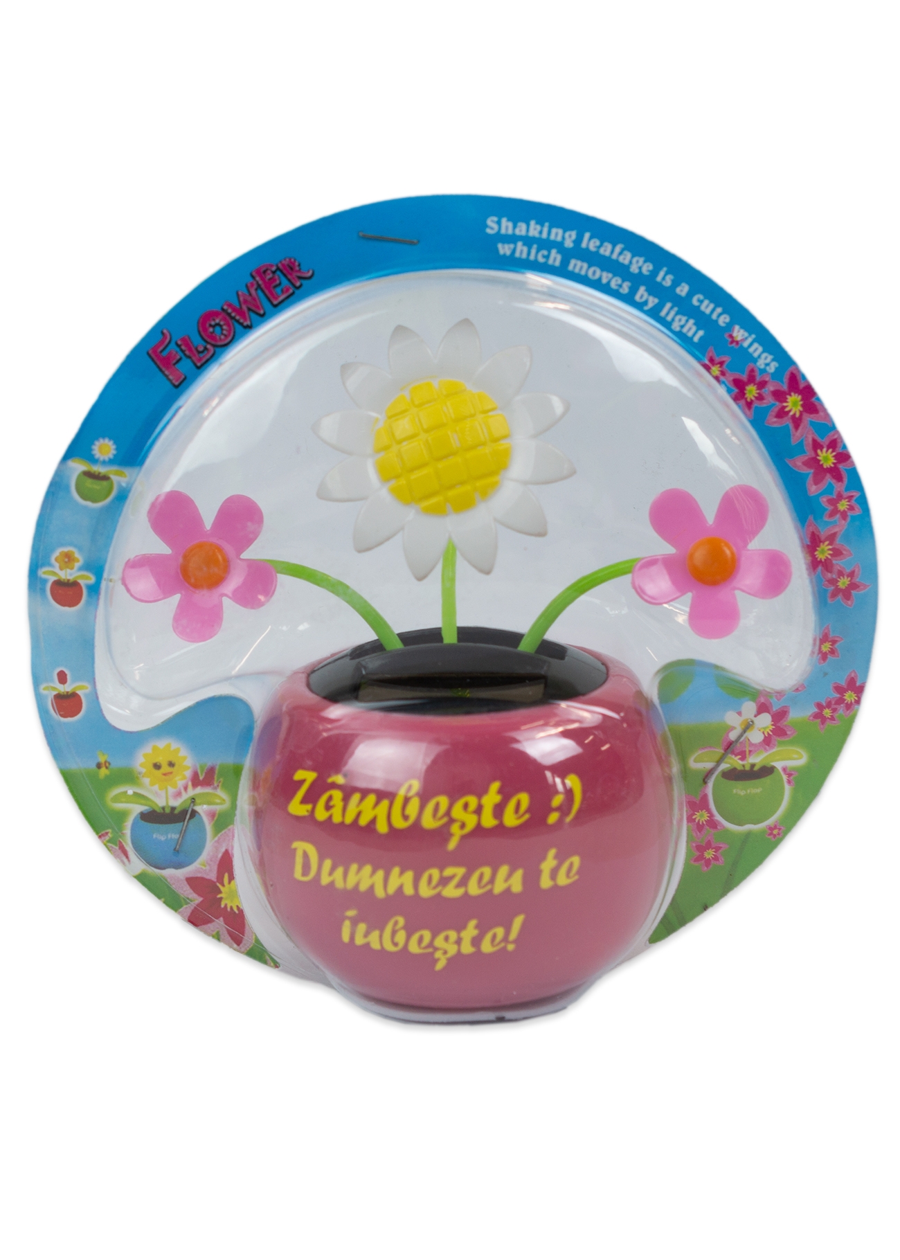 Floare solara - Zambeste :) Dumnezeu te iubeste! (roz) Floare solara - Zambeste :) Dumnezeu te iubeste! (roz)