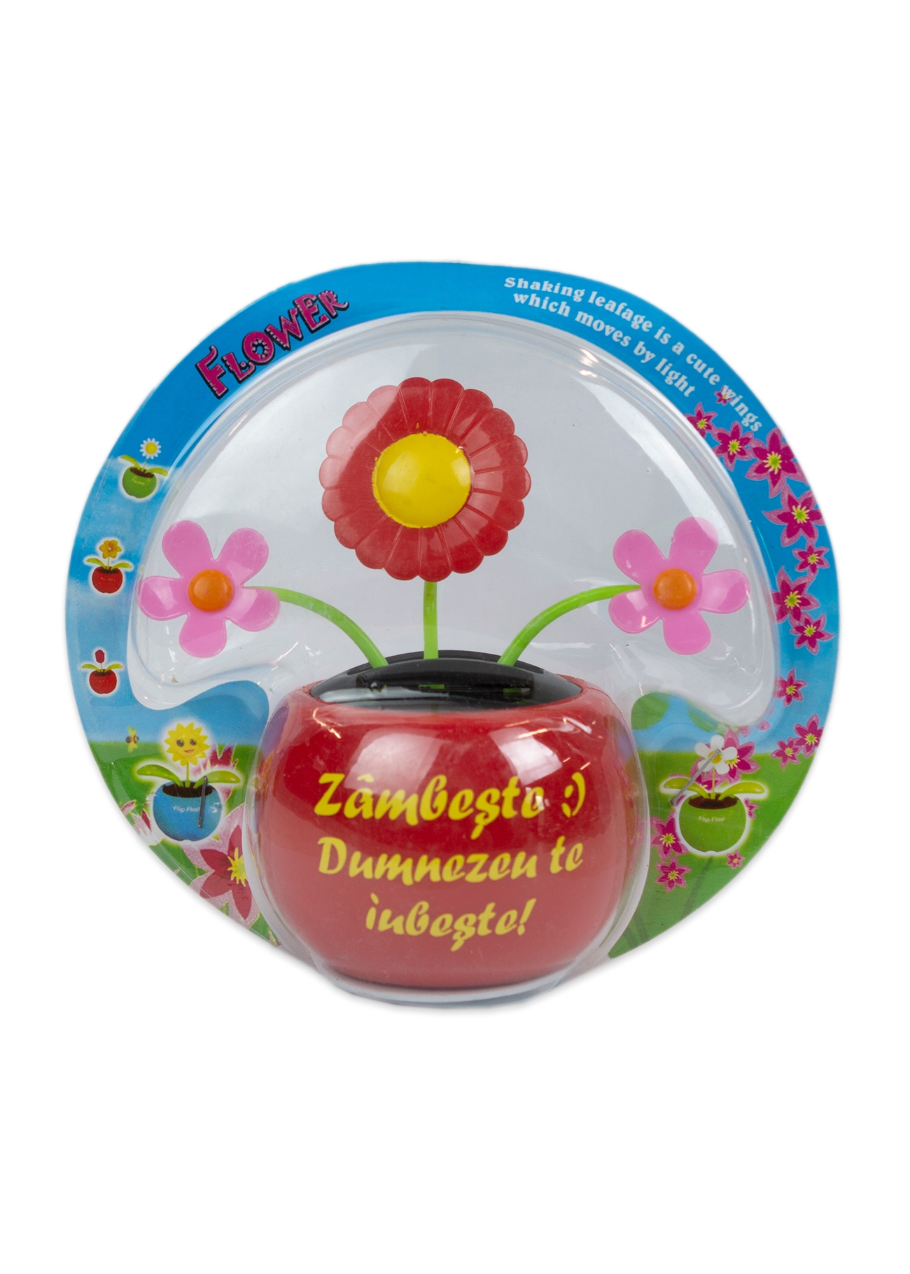 Floare solara - Zambeste :) Dumnezeu te iubeste! (rosu)