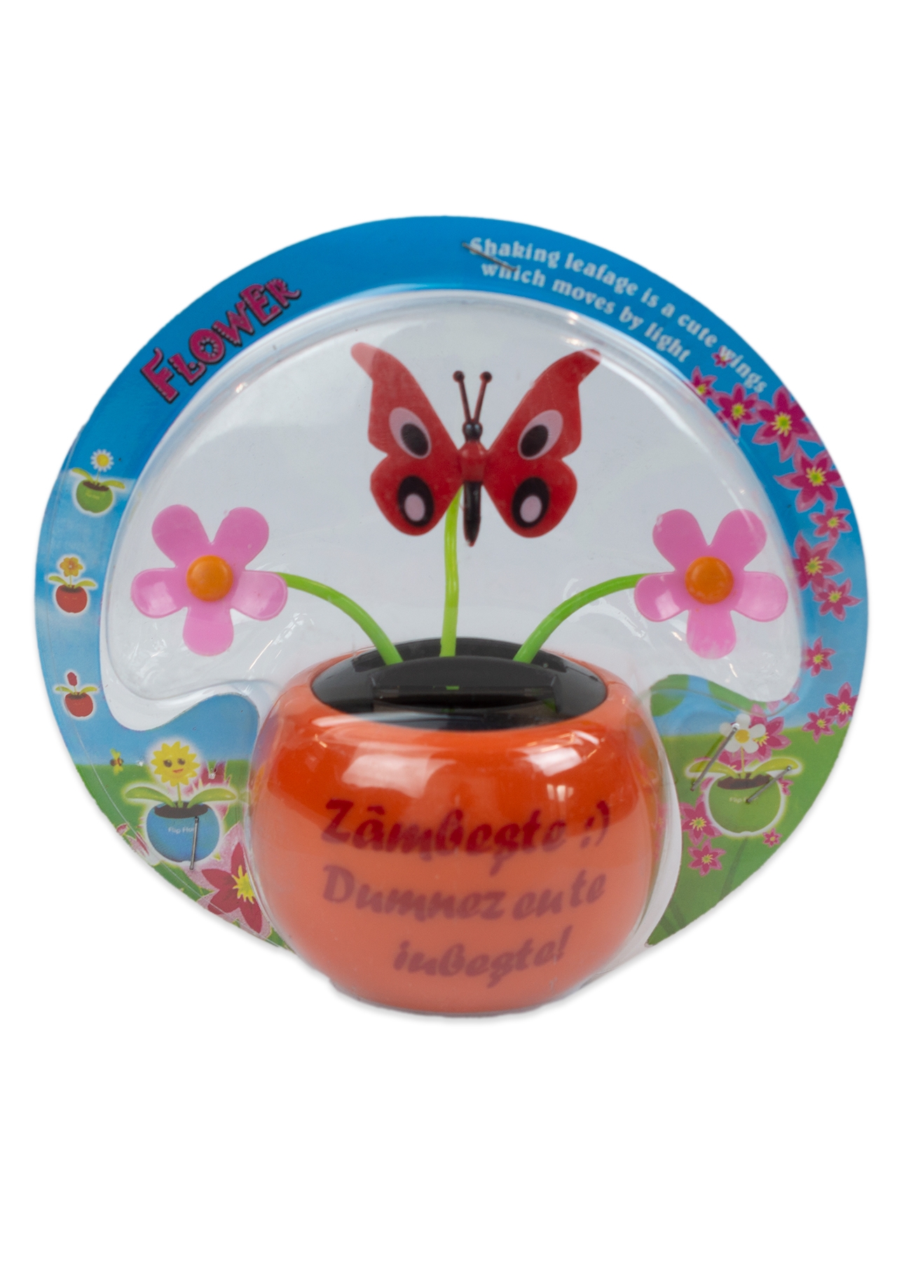 Floare solara - Zambeste :) Dumnezeu te iubeste! (portocaliu) Floare solara - Zambeste :) Dumnezeu te iubeste! (portocaliu)