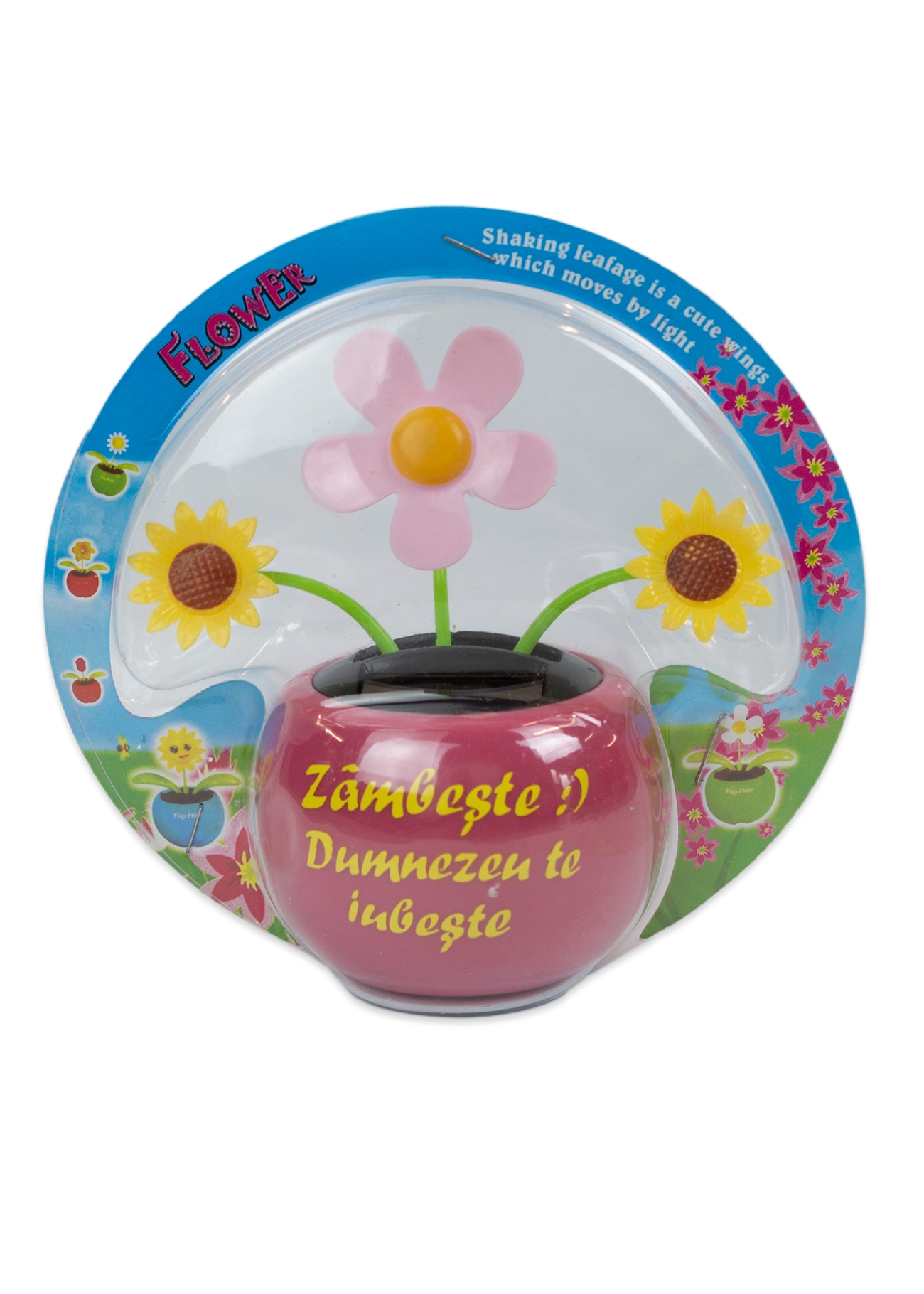 Floare solara - Zambeste :) Dumnezeu te iubeste! (roz) Floare solara - Zambeste :) Dumnezeu te iubeste! (roz)