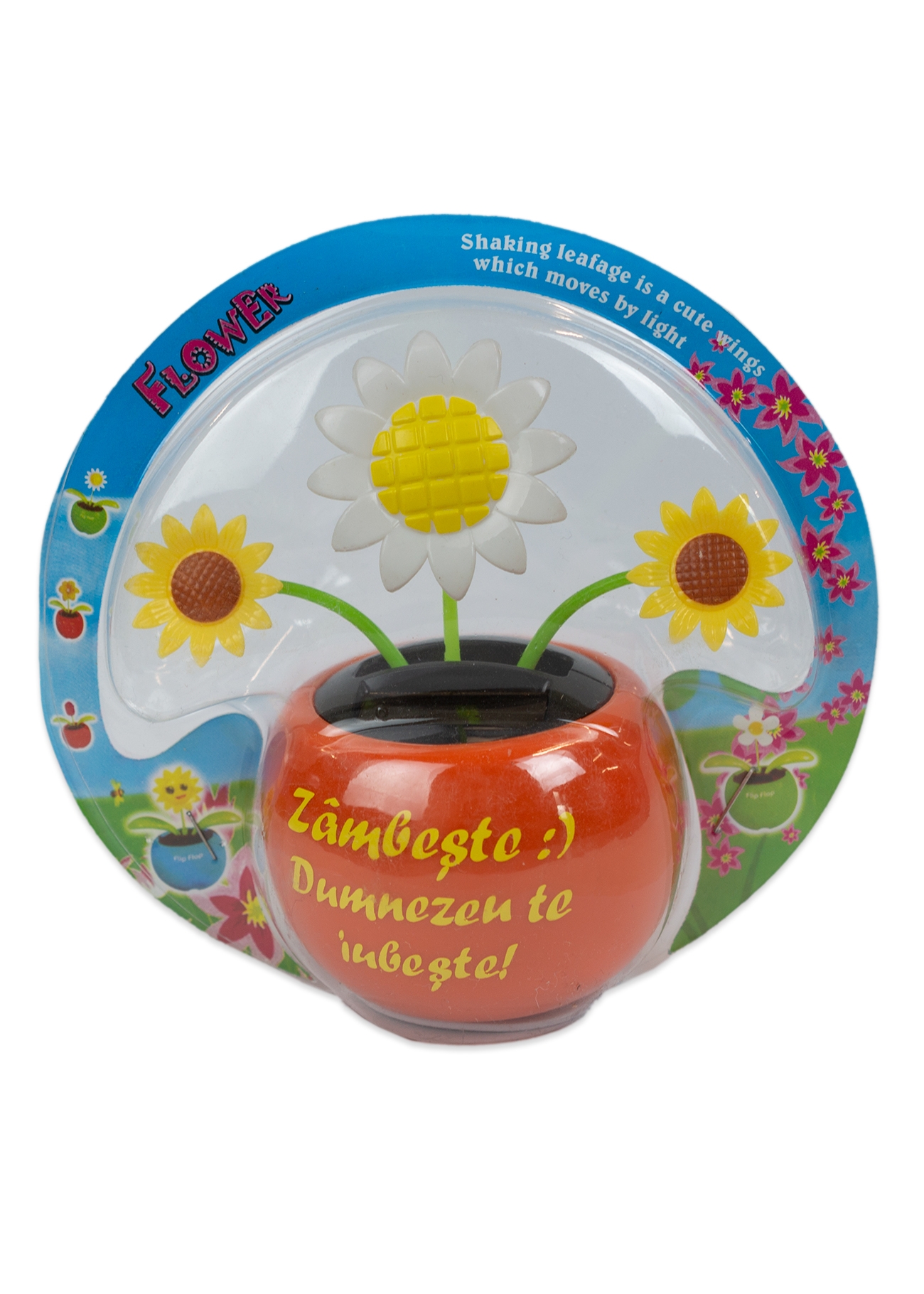 Floare solara - Zambeste :) Dumnezeu te iubeste! (portocaliu) Floare solara - Zambeste :) Dumnezeu te iubeste! (portocaliu)