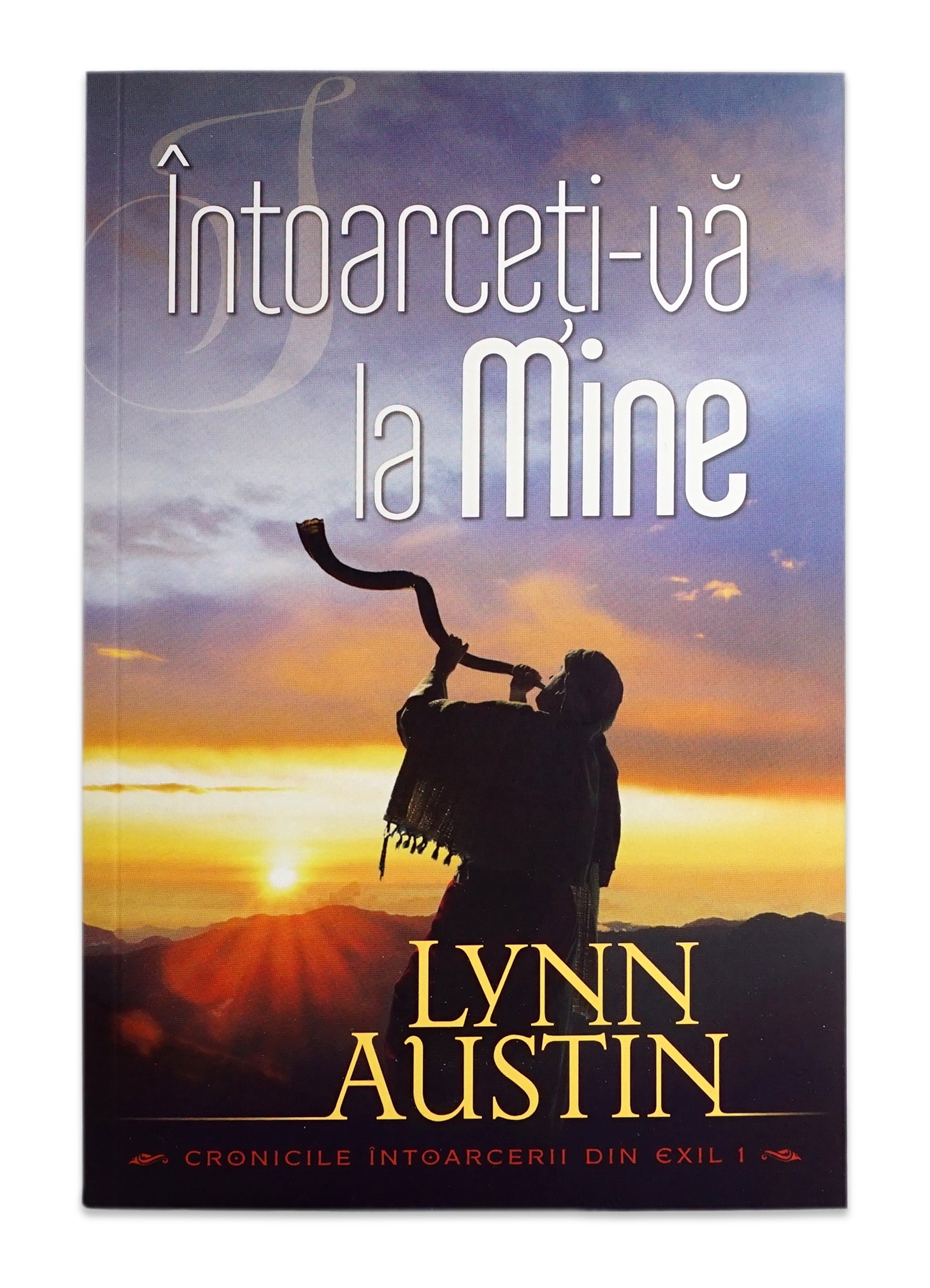 Întoarceți-vă la Mine (Seria Cronicile întoarecerii din exil, vol. 1) - Roman creștin