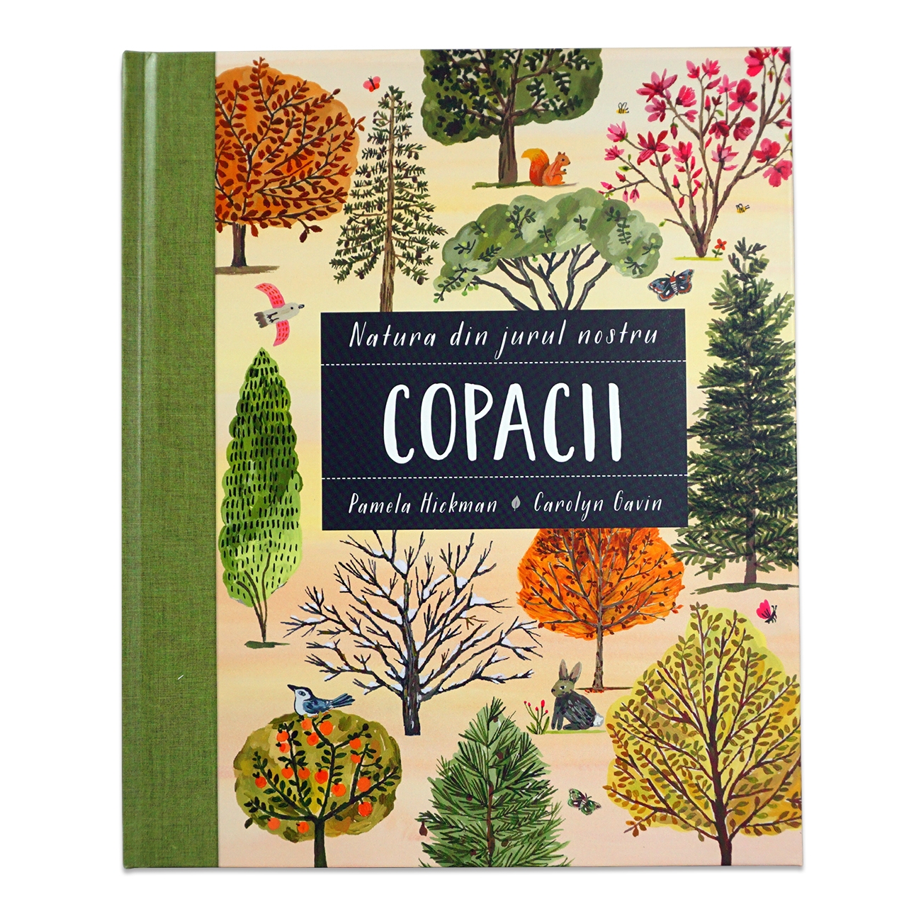 Natura din jurul nostru - Copacii - Cărți educative pentru copii
