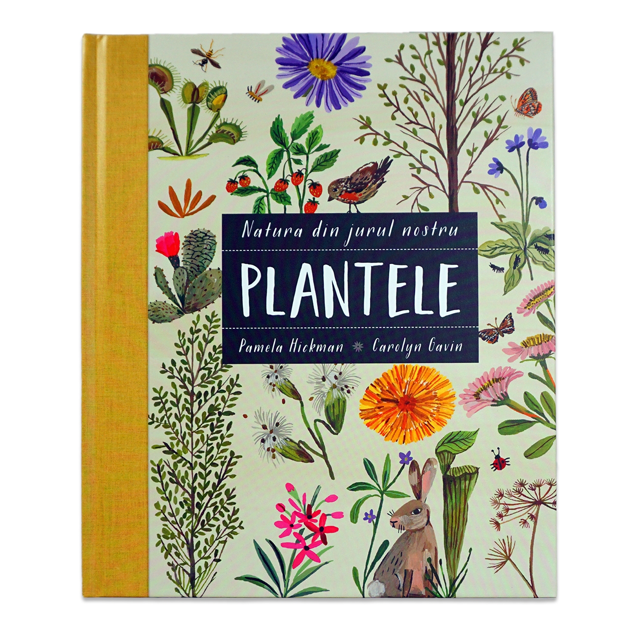 Natura din jurul nostru - Plantele - Cărți educative pentru copii