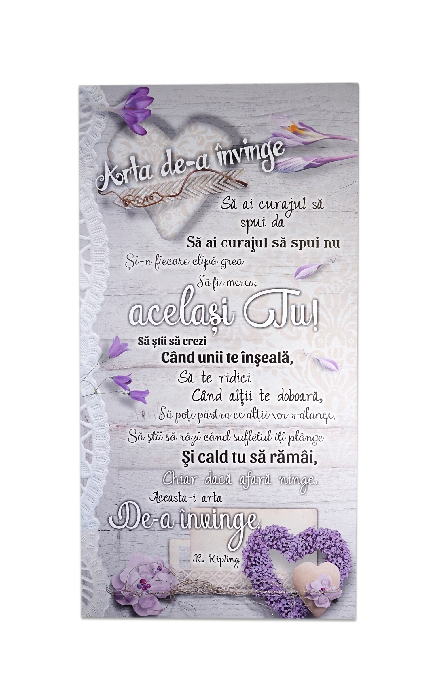 Tablou motivational   (50x27cm) - Arta de a invinge Tablou motivational   (50x27cm) - Arta de a invinge