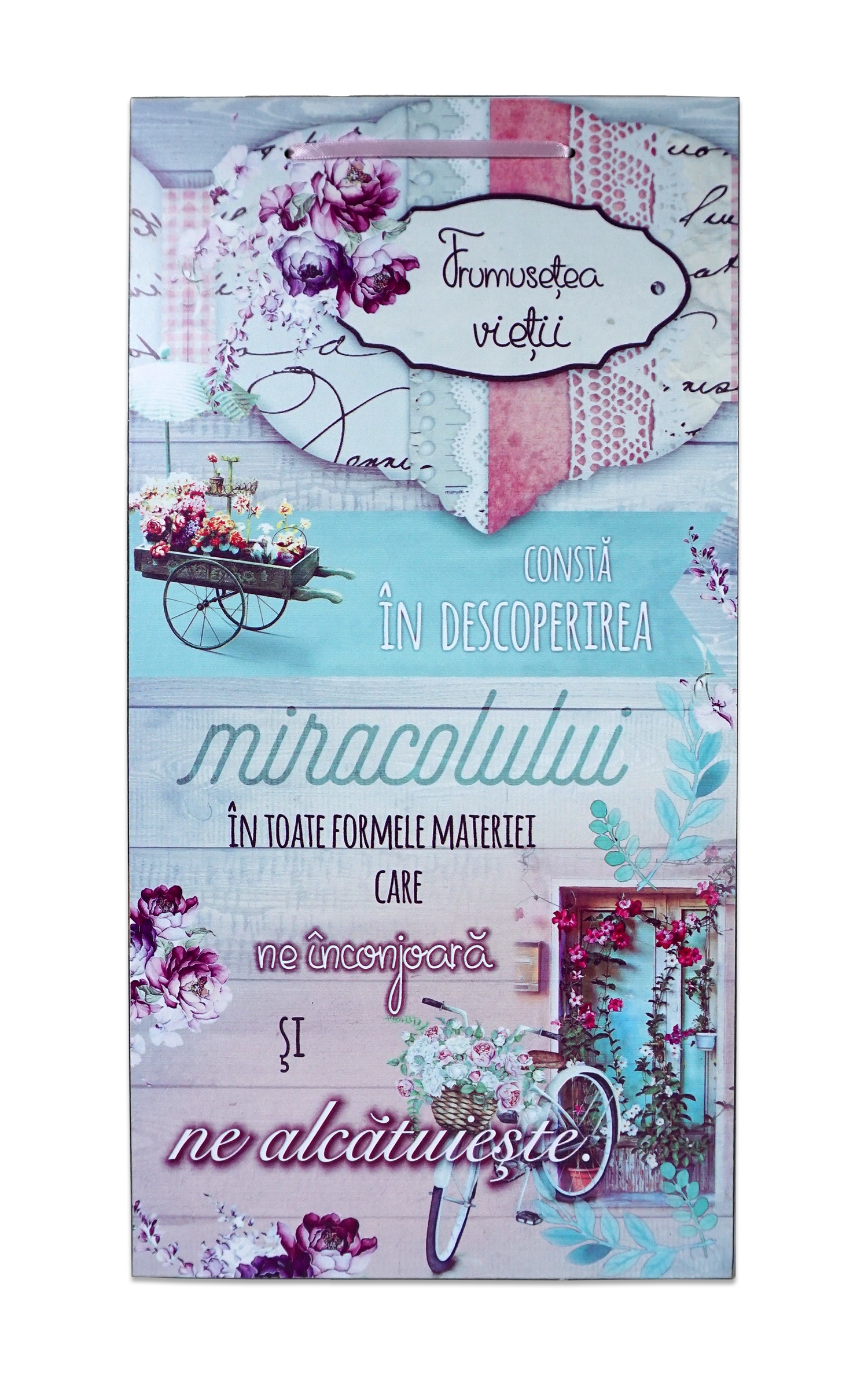 Tablou motivational   (50x27cm) - Frumusetea vietii Tablou motivational   (50x27cm) - Frumusetea vietii