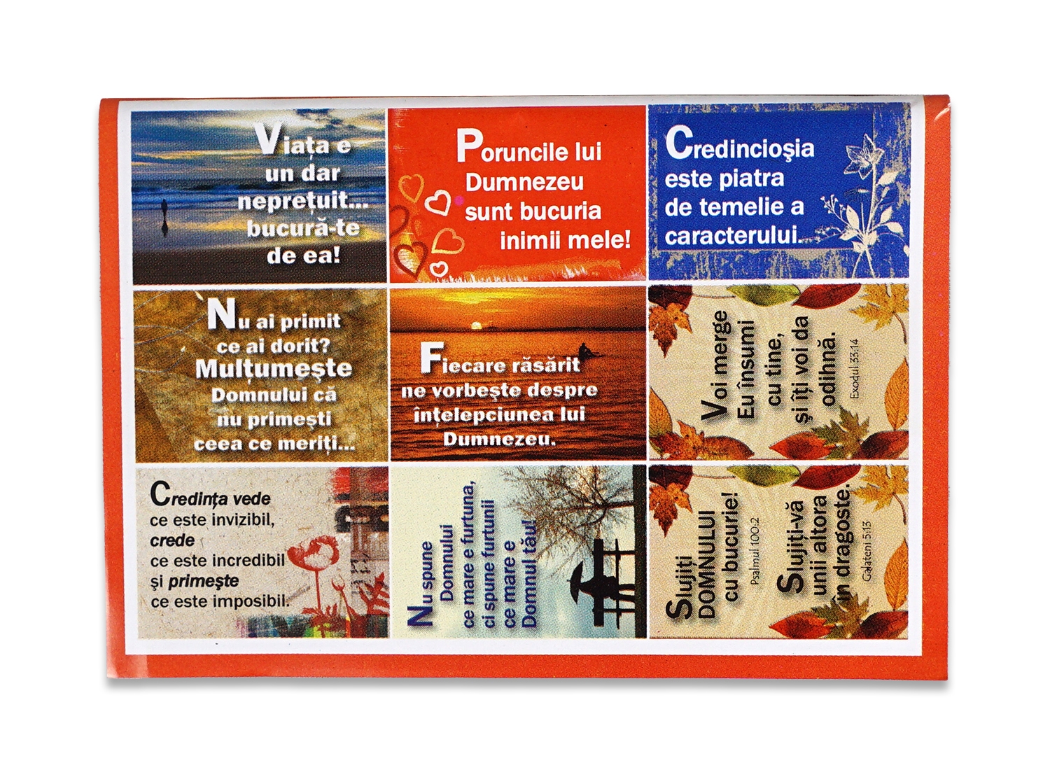 Carduri autocolante - SET autocolante SAVI9 Carduri autocolante - SET autocolante SAVI9