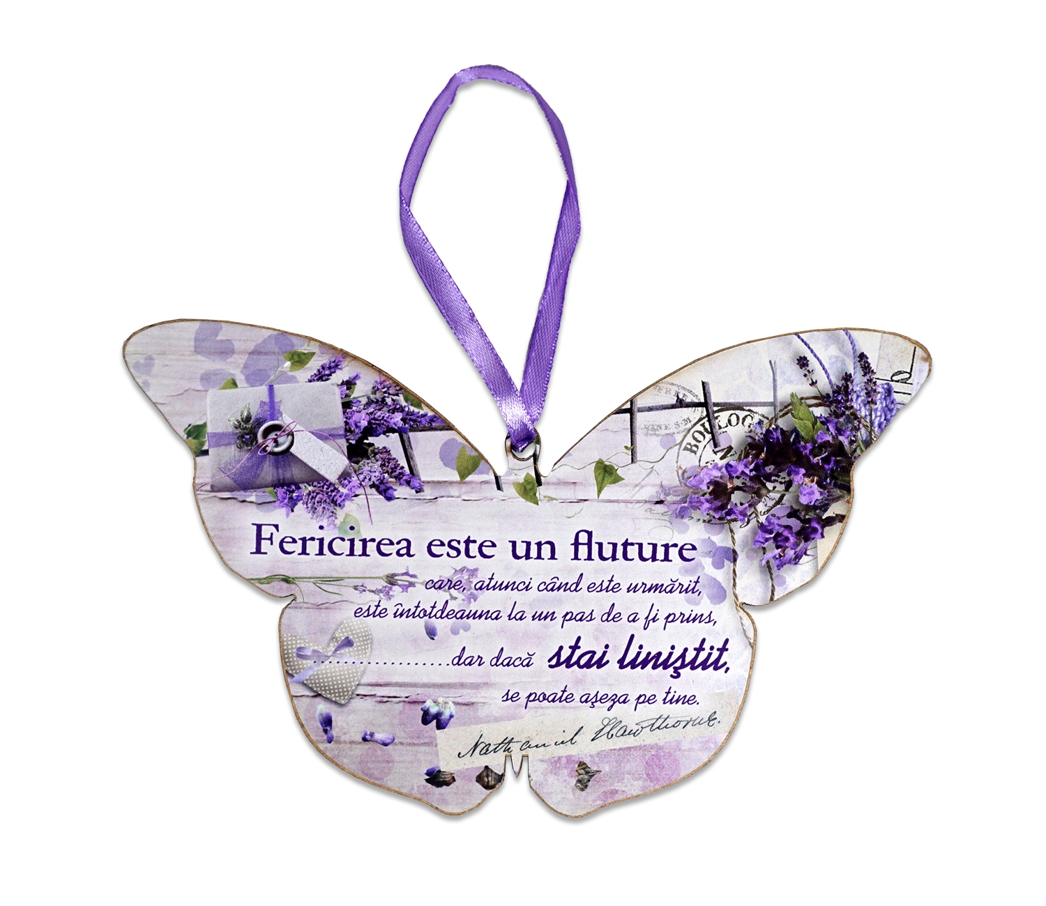Tablou motivationa fluture (20x13cm) - Fericirea este un fluture
