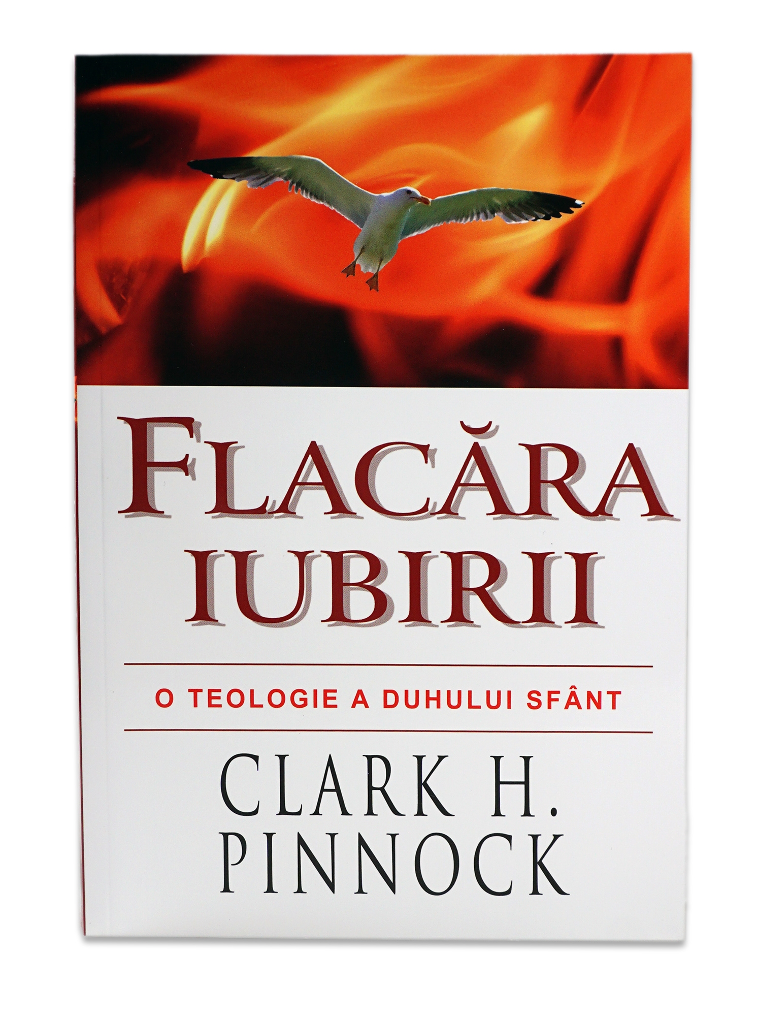 Flacăra iubirii - o teologie a Duhului Sfânt