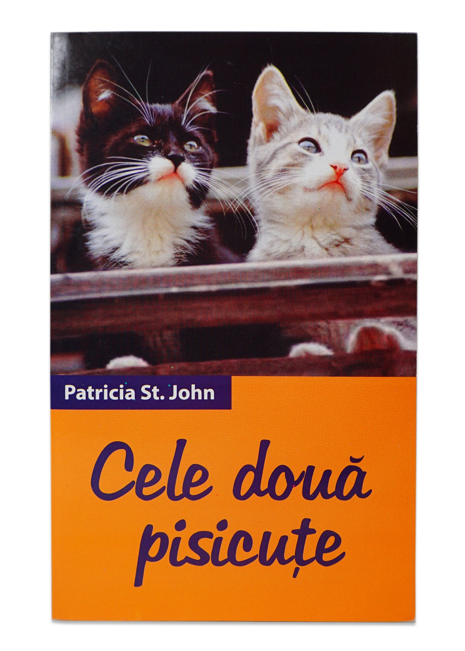 Cele doua pisicute - Povestiri crestine Cele doua pisicute - Povestiri crestine