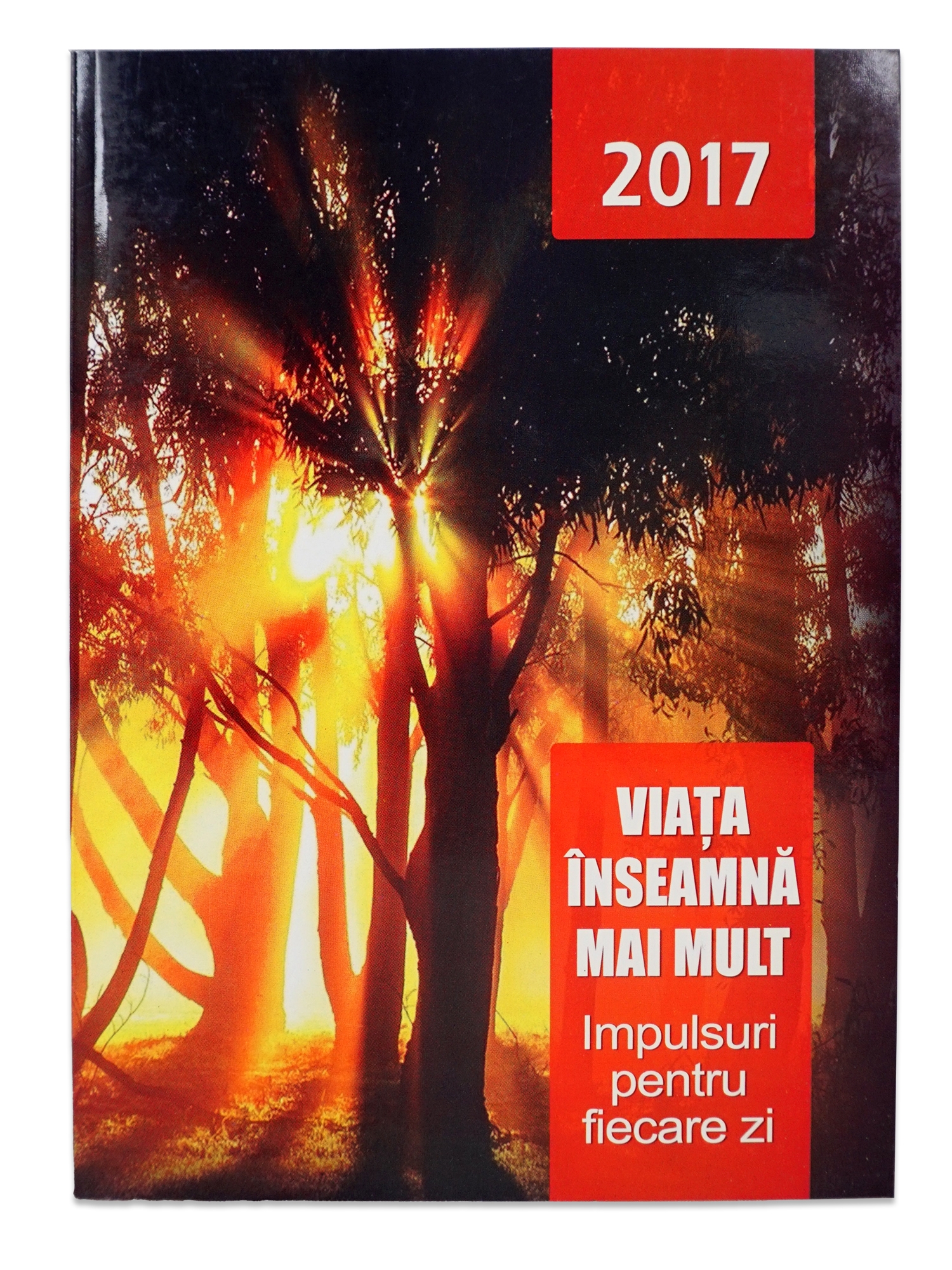 Viata inseamna mai mult - Devotional zilnic 2017 Viata inseamna mai mult - Devotional zilnic 2017