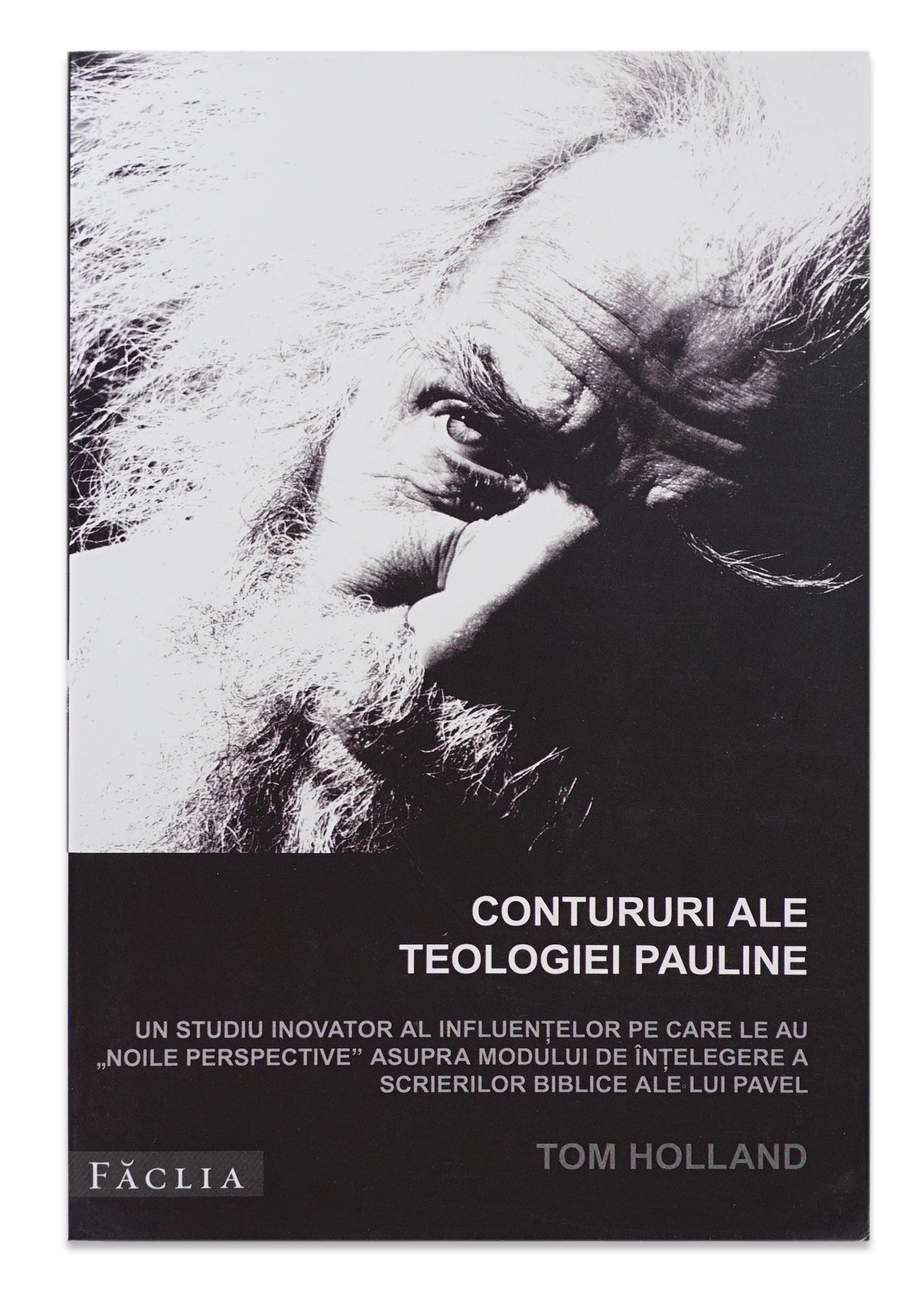 Contururi ale teologiei pauline