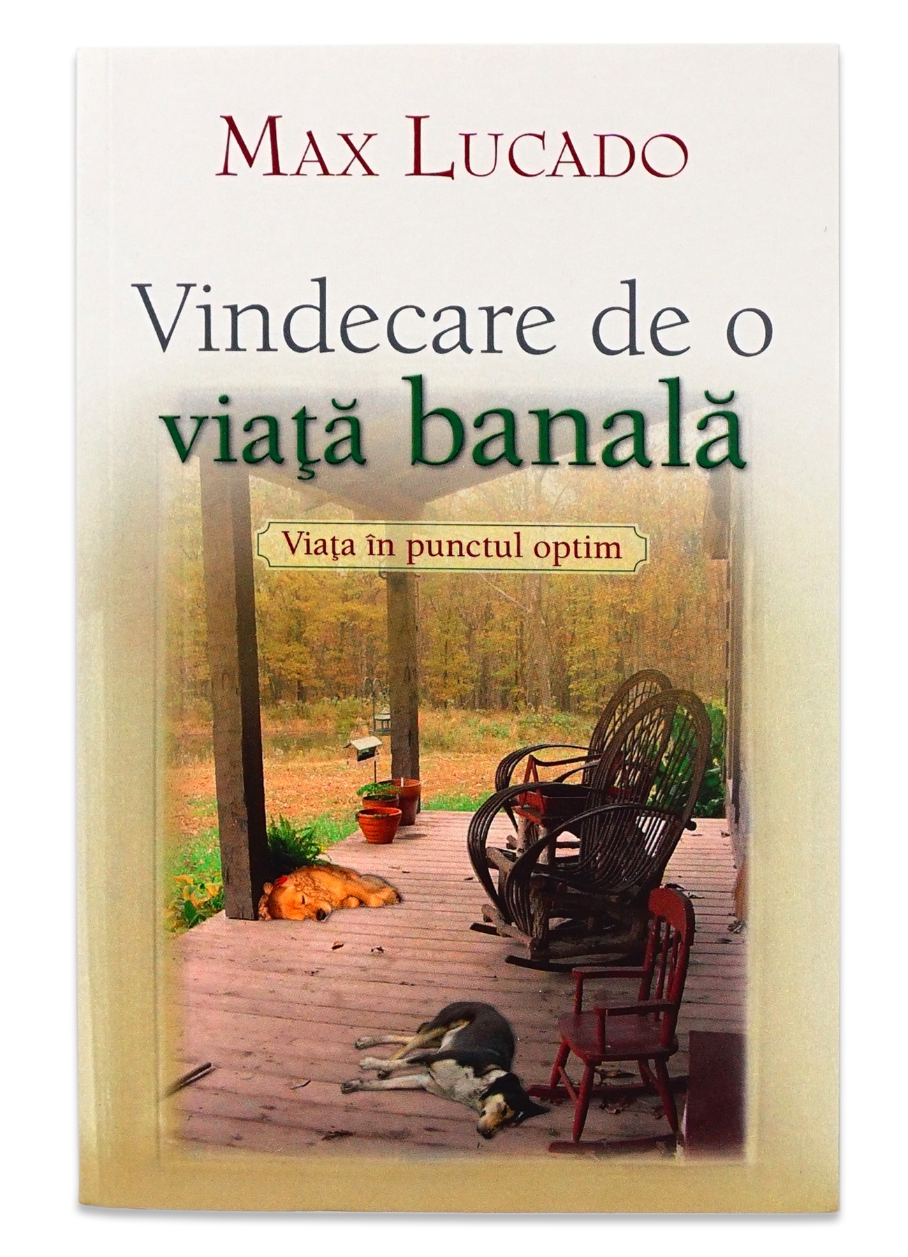 Vindecare de o viata banala  - Viața în punctul optim Vindecare de o viata banala  - Viața în punctul optim