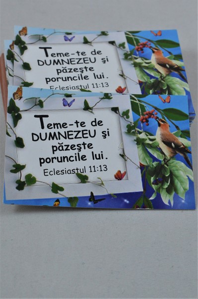 Carduri cu versete-Teme-te de DUMNEZEU Carduri cu versete-Teme-te de DUMNEZEU