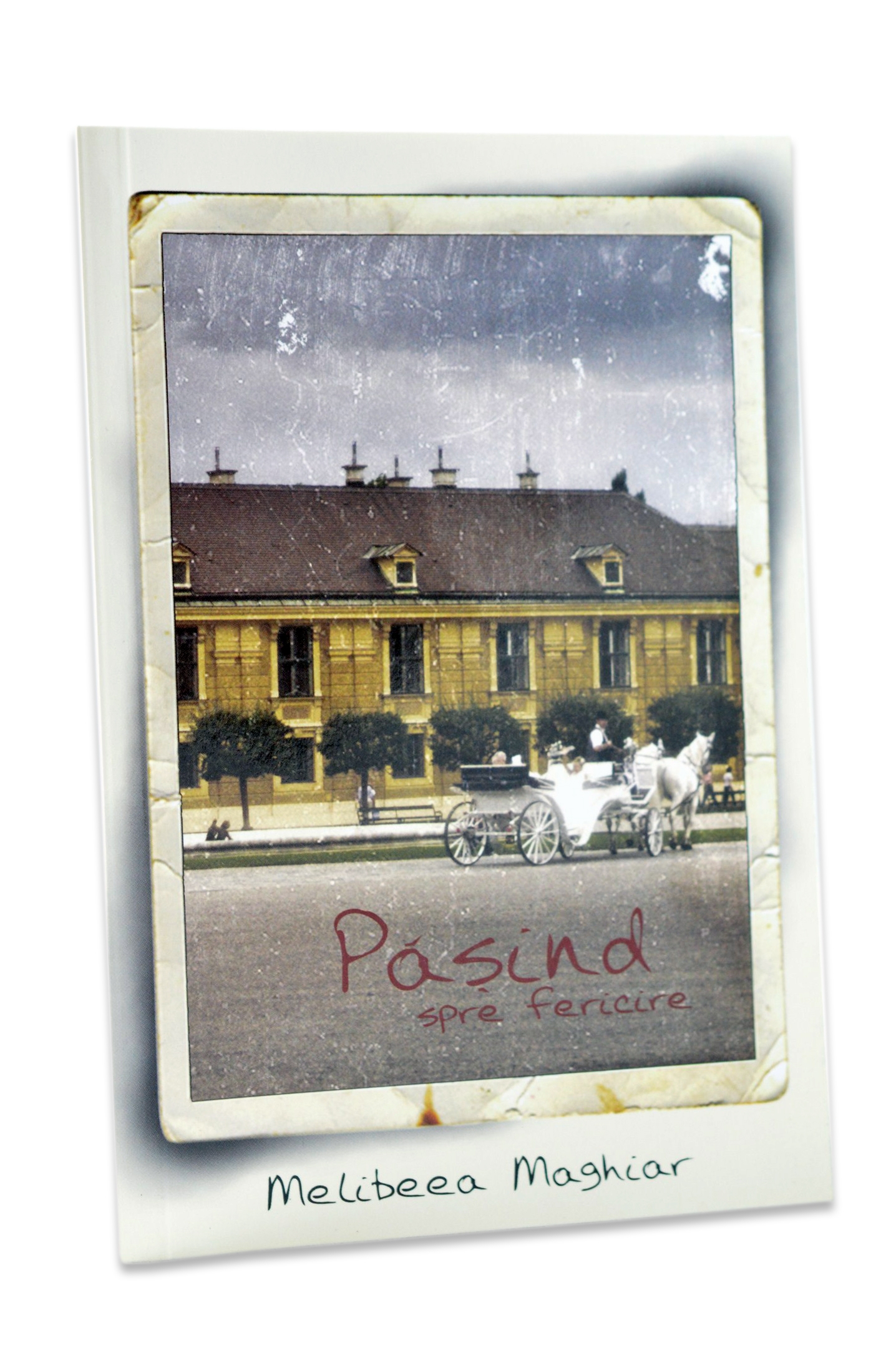 Păşind spre fericire - marturie Păşind spre fericire - marturie