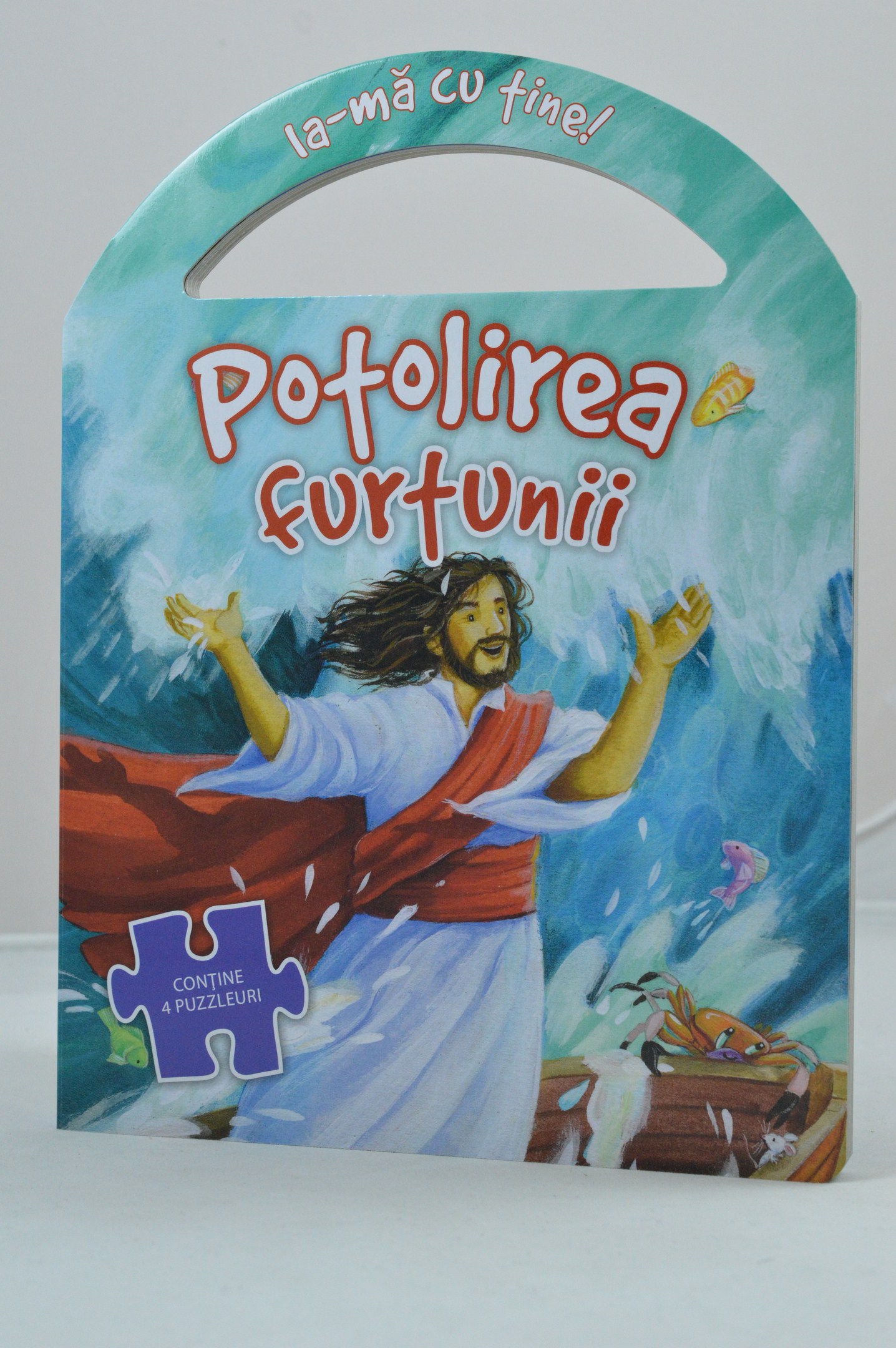 Carte puzzle - Potolirea furtunii Carte puzzle - Potolirea furtunii