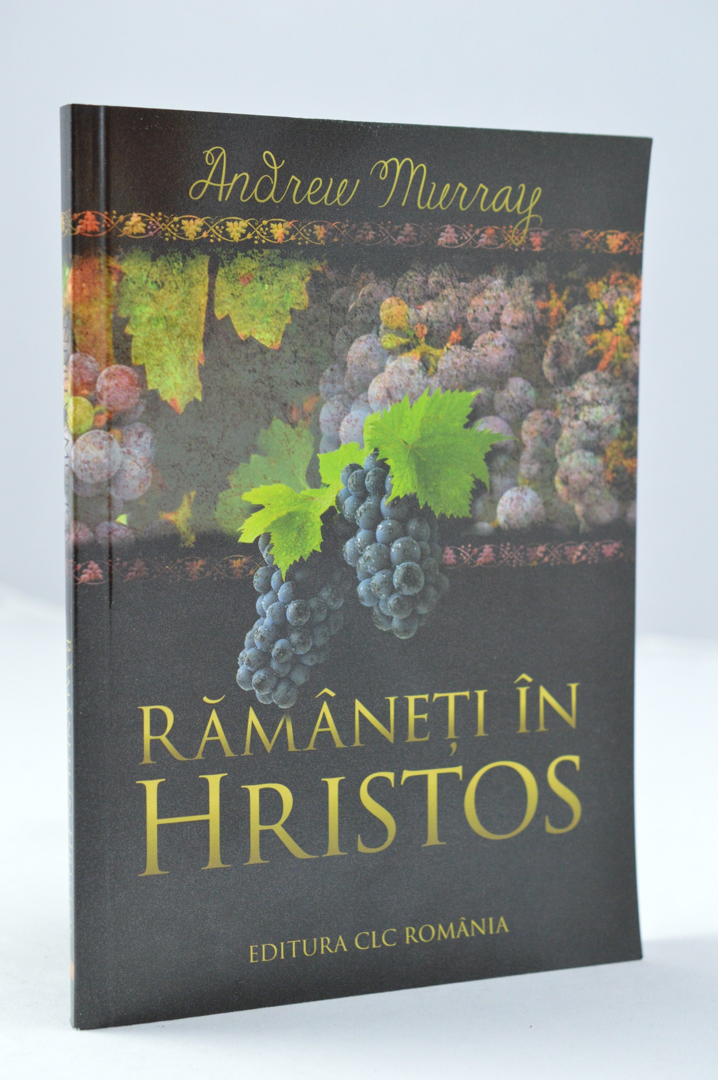 Ramaneti in Hristos Ramaneti in Hristos