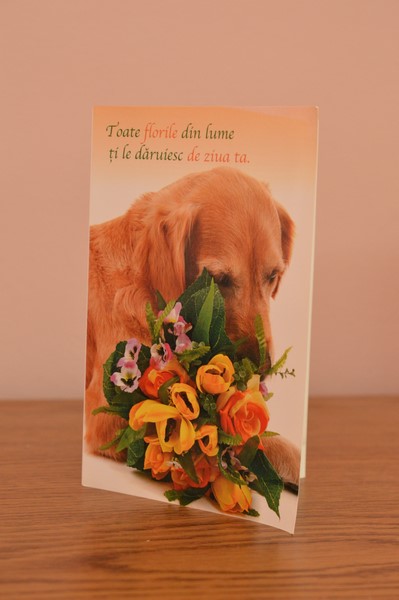 Felicitare – Toate florile din lume ti le daruiesc de ziua ta Felicitare – Toate florile din lume ti le daruiesc de ziua ta