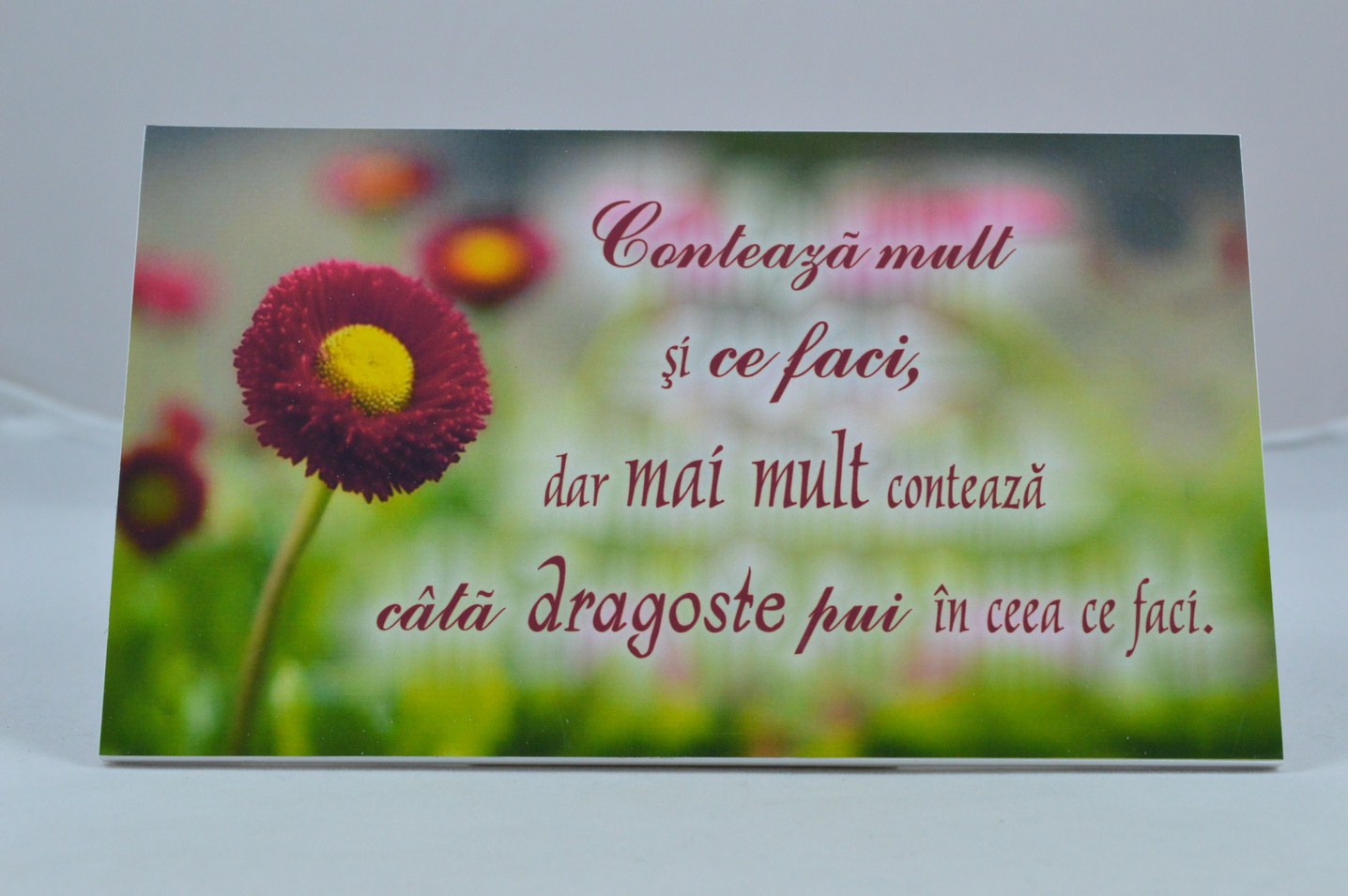 Contează mult ceea ce faci- Placheta birou Contează mult ceea ce faci- Placheta birou