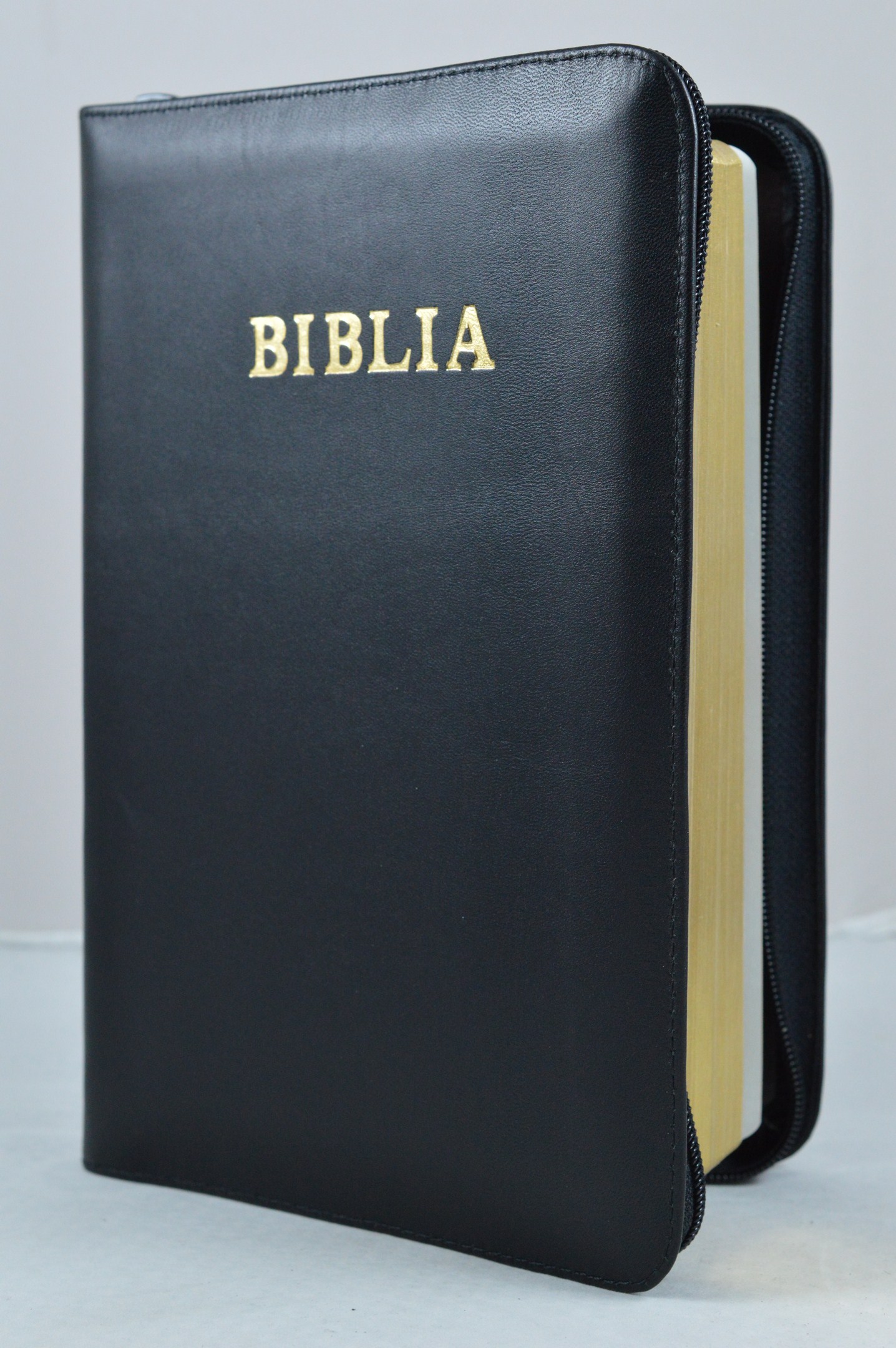 Biblia Planului Profetic - piele, neagra, mare, fermoar, margini aurite, cuv. lui Isus cu rosu Biblia Planului Profetic - piele, neagra, mare, fermoar, margini aurite, cuv. lui Isus cu rosu