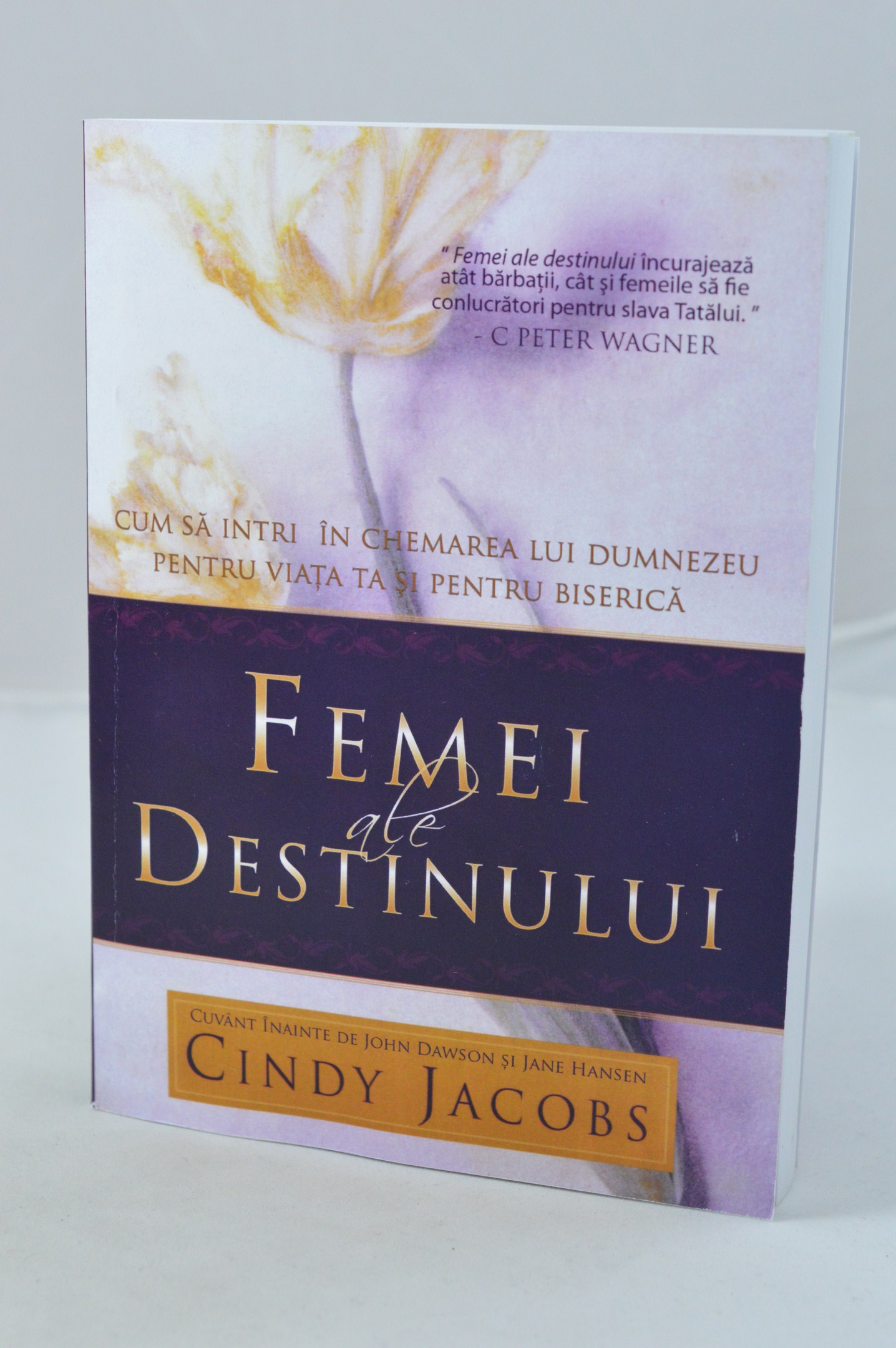 Femei ale destinului Femei ale destinului