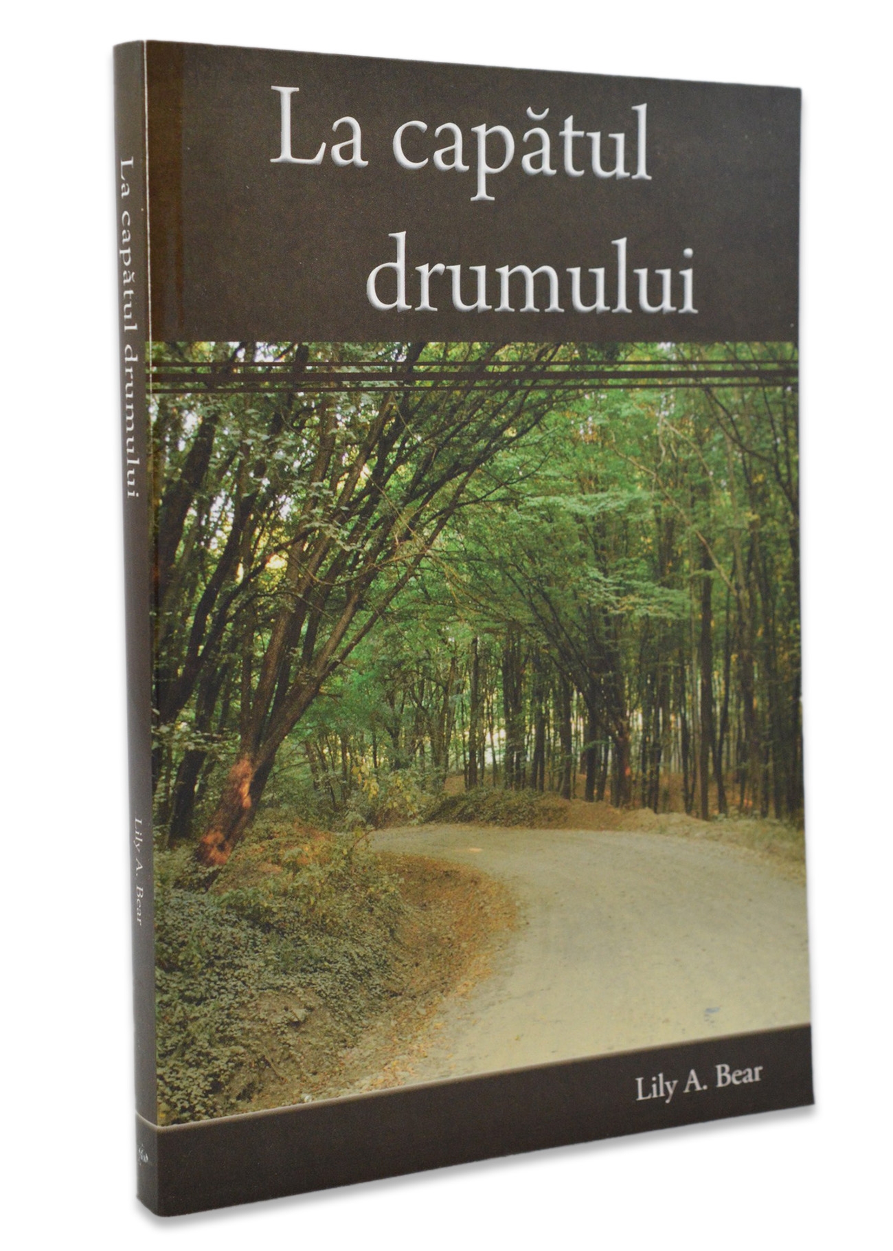 La capatul drumului - povestiri crestine