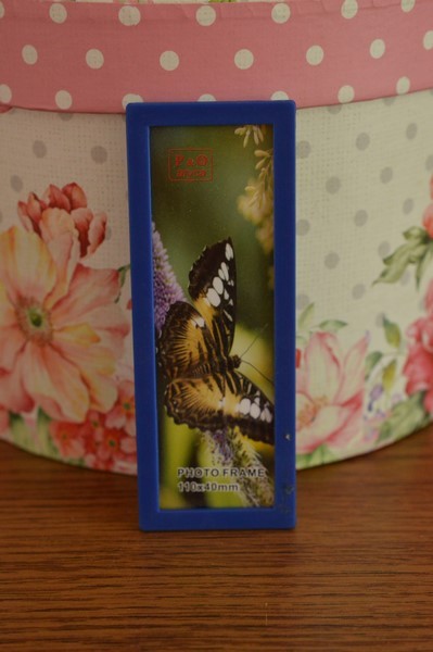 Rama foto mica - Magnet Rama foto mica - Magnet