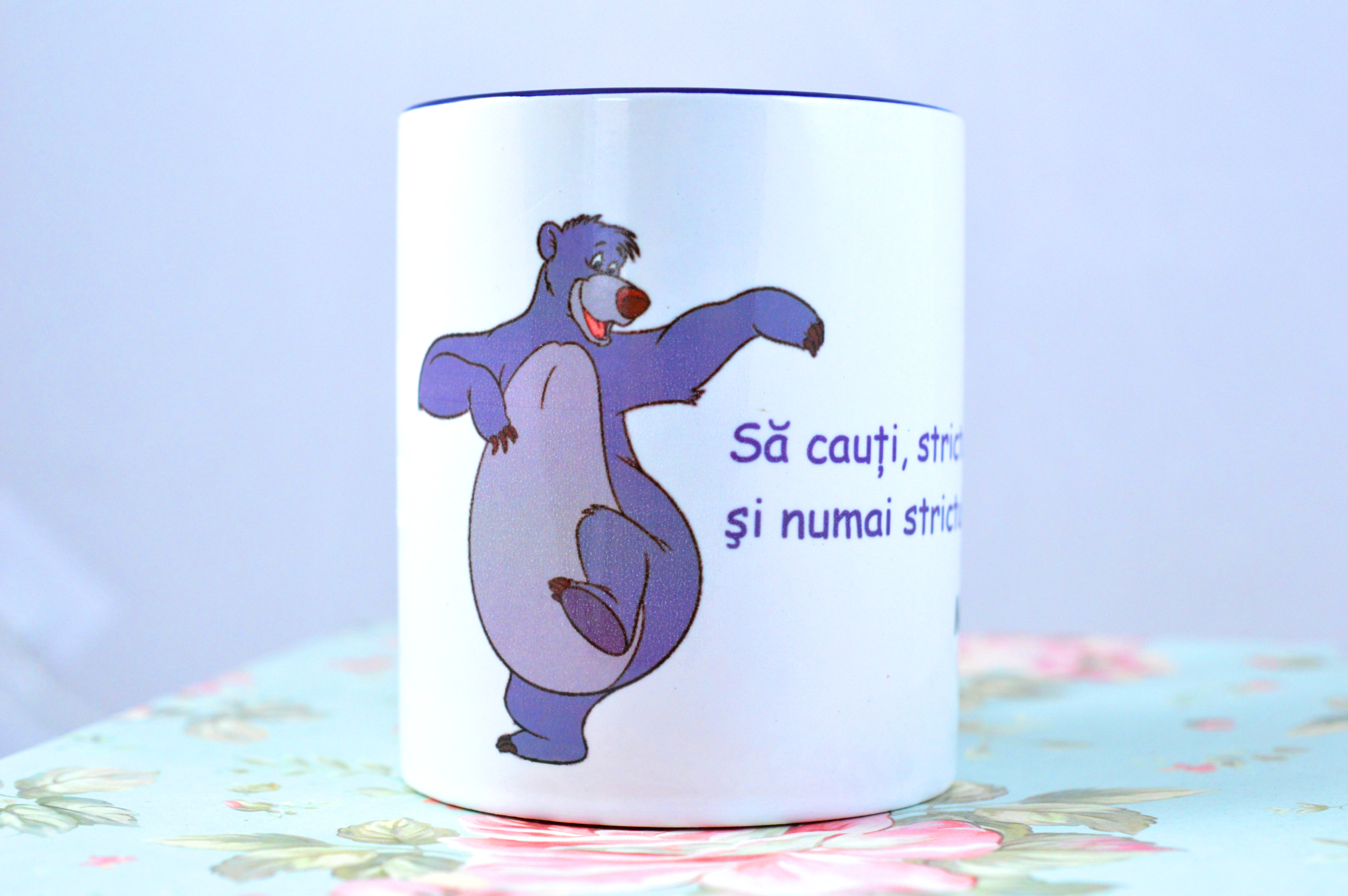 Cana  ceramica - Sa cauti strictul necesar Cana  ceramica - Sa cauti strictul necesar