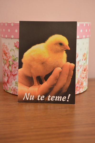 Felicitare-Nu te teme! Felicitare-Nu te teme!